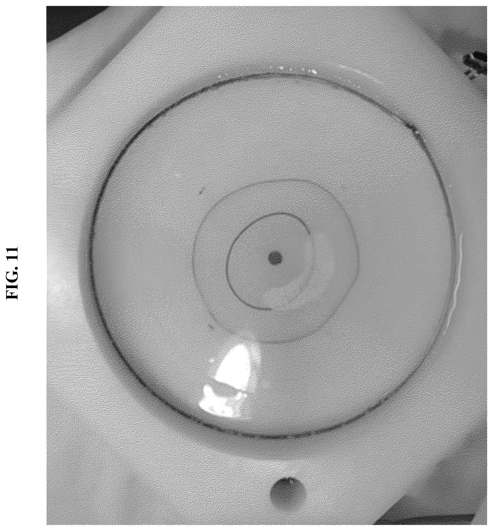 Patent US12311357 Figure 19 – Devices for sample analysis using epitachophoresis