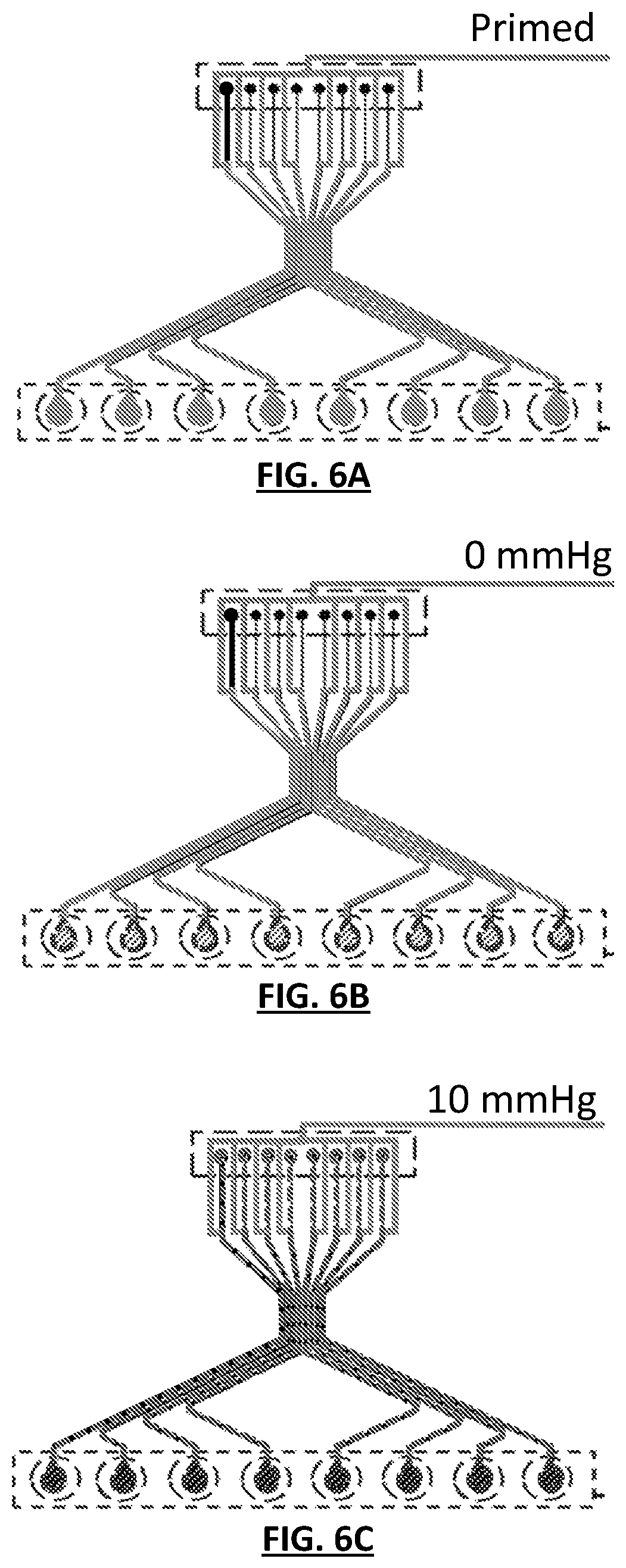 Patent US12311367 Figure 6 – Microfluidic devices and methods for monitoring blood biology under flow