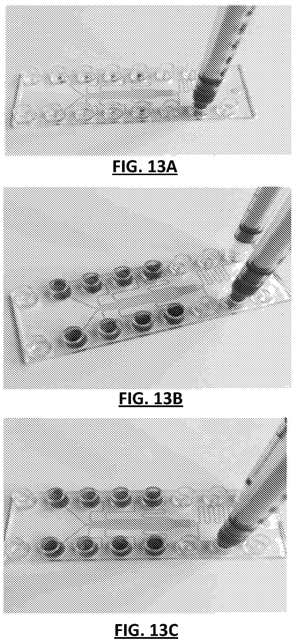 Patent US12311367 Figure 14 – Microfluidic devices and methods for monitoring blood biology under flow