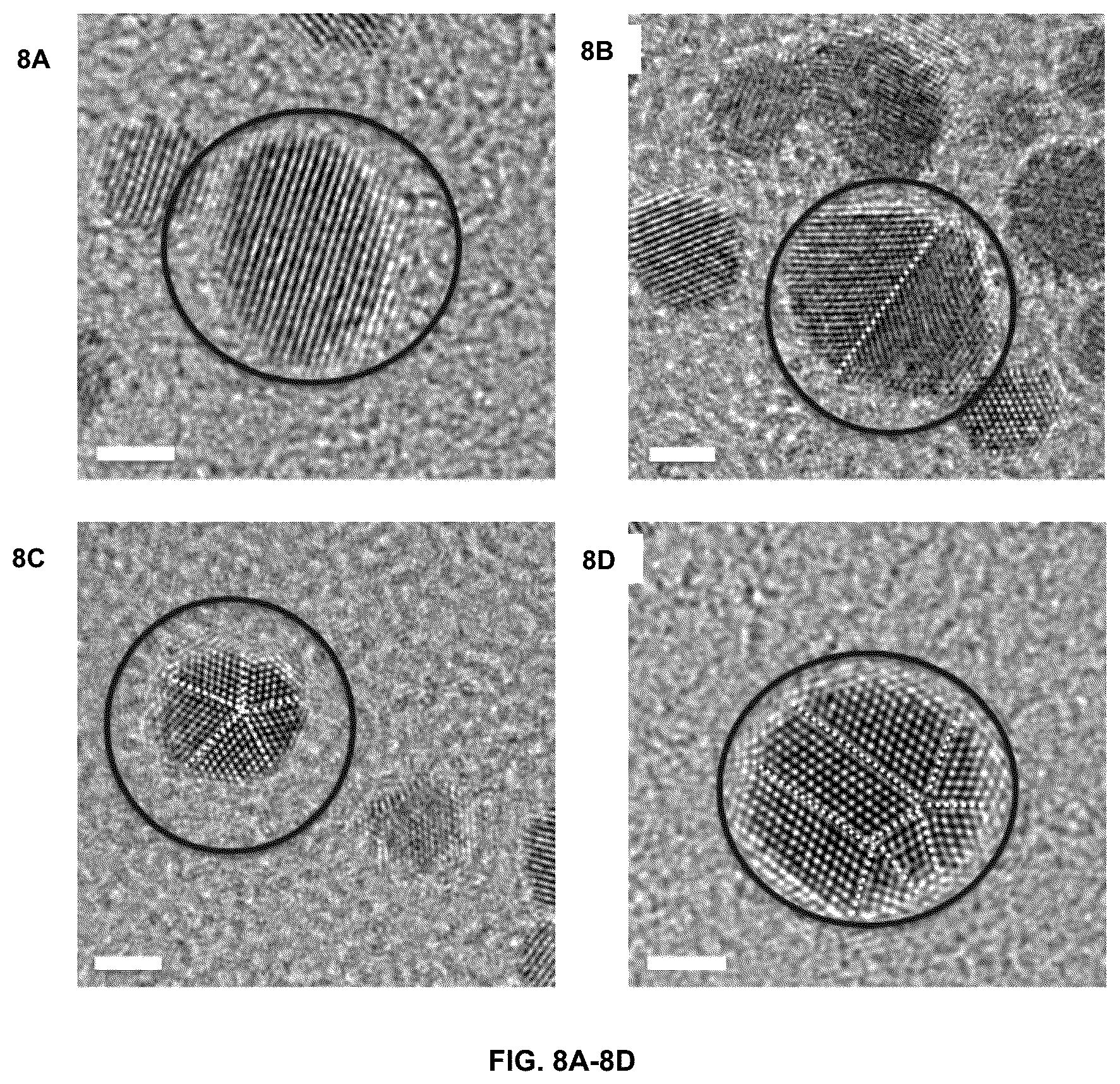 Patent US12311448 Figure 9 – Light-driven synthesis of plasmonic nanoparticles and nanomaterials