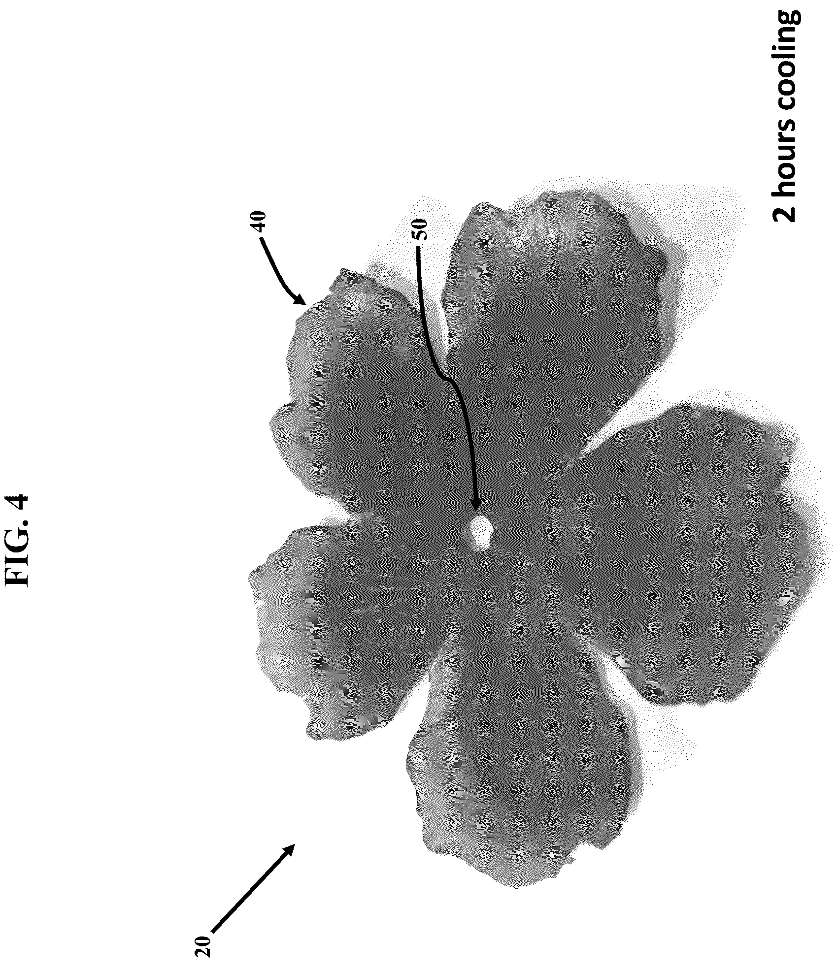 Patent US12311581 Figure 4 – Artificial botanicals and methods of making same