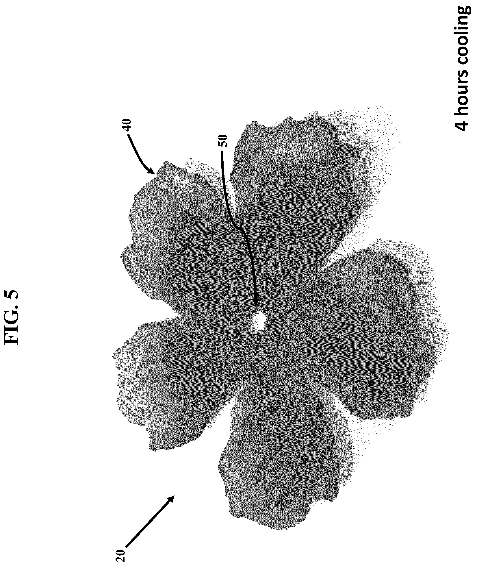 Patent US12311581 Figure 5 – Artificial botanicals and methods of making same