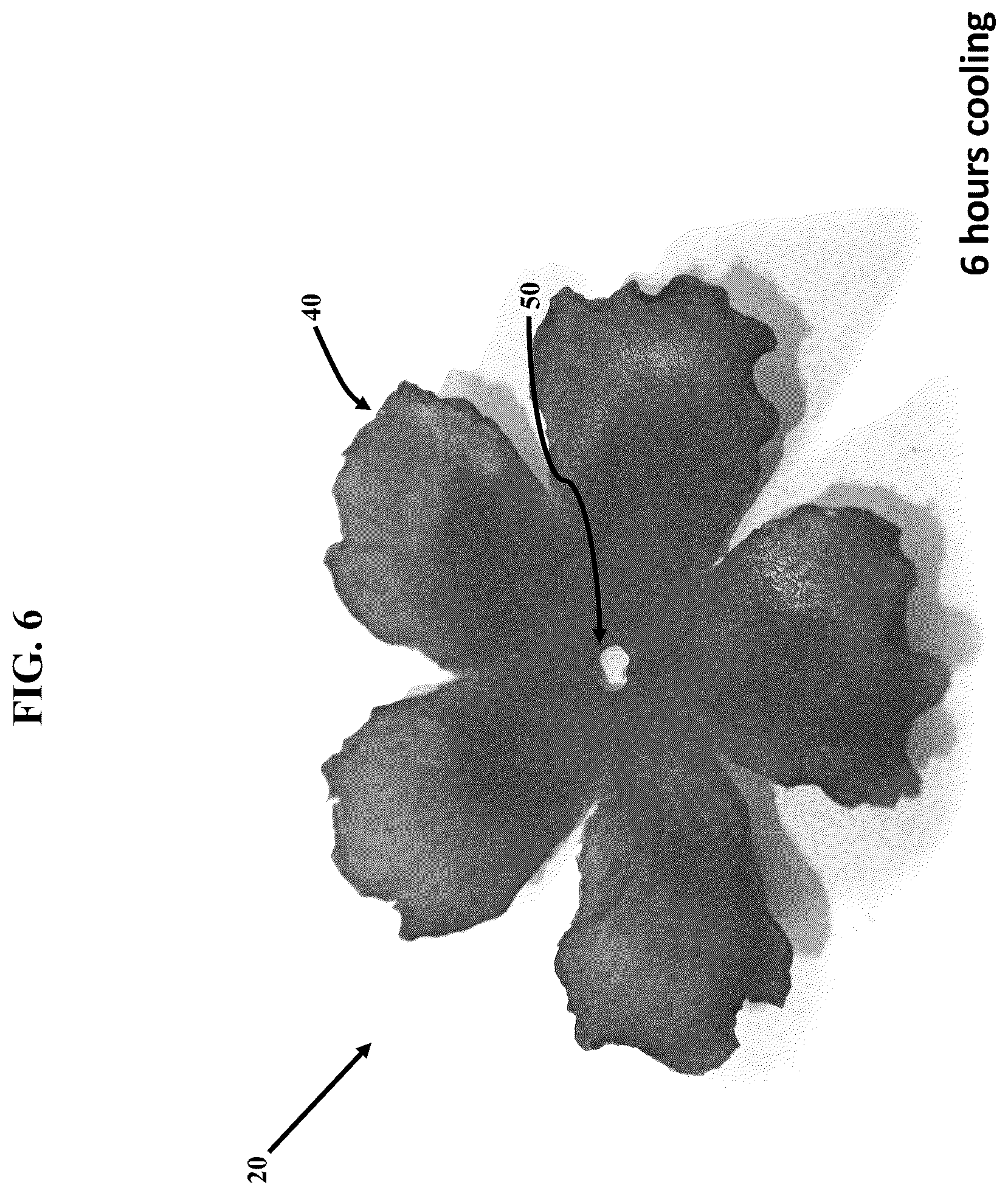 Patent US12311581 Figure 6 – Artificial botanicals and methods of making same