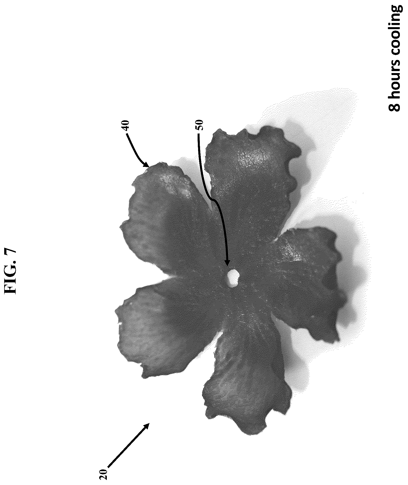 Patent US12311581 Figure 7 – Artificial botanicals and methods of making same