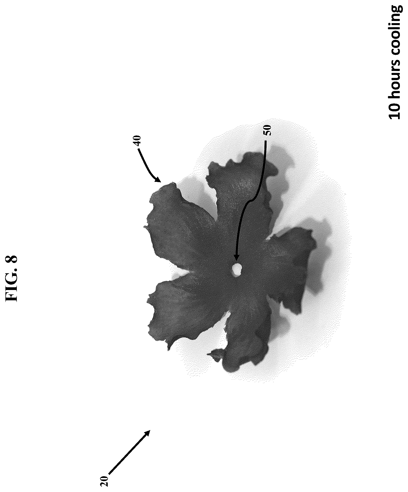 Patent US12311581 Figure 8 – Artificial botanicals and methods of making same