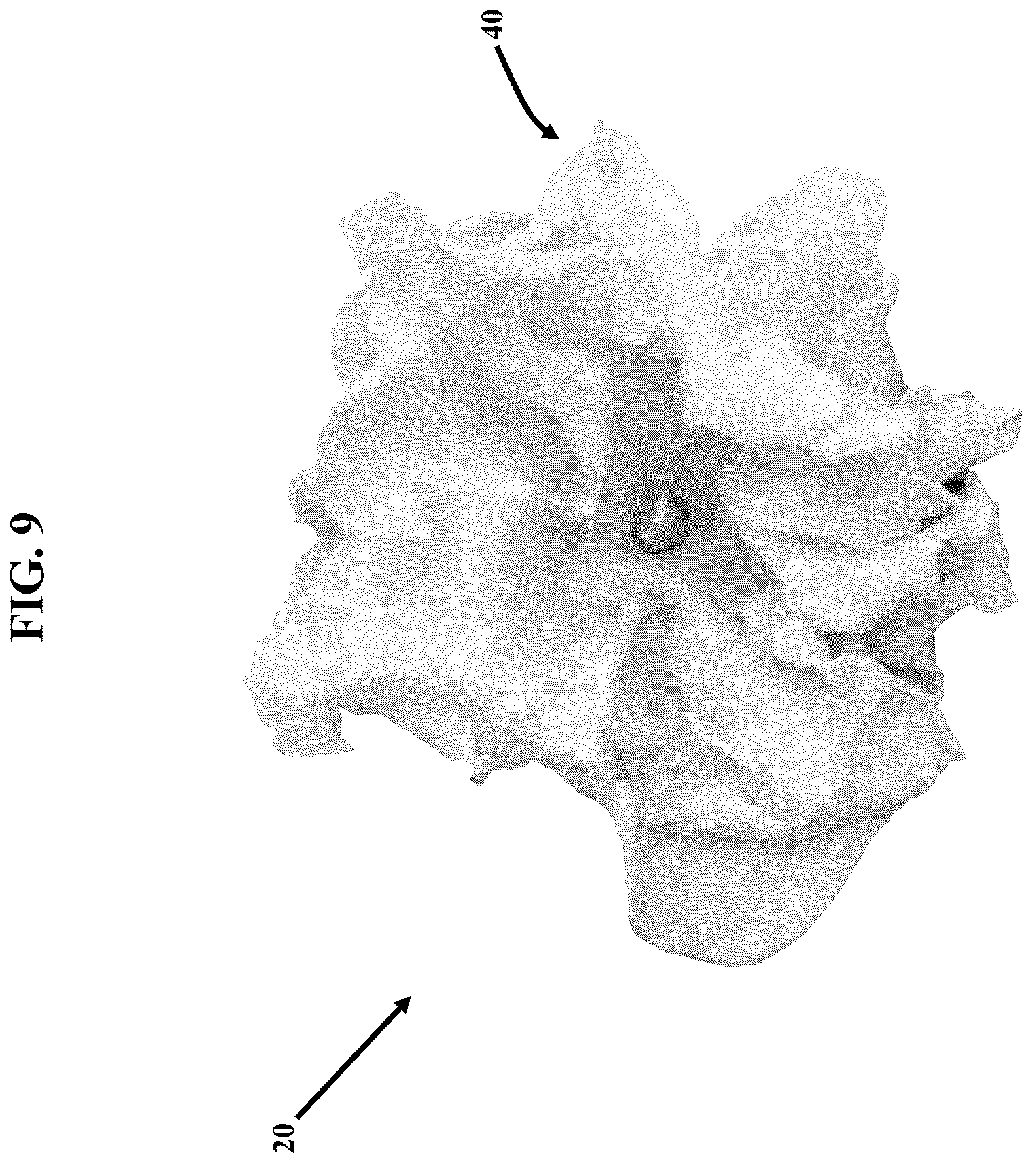 Patent US12311581 Figure 9 – Artificial botanicals and methods of making same