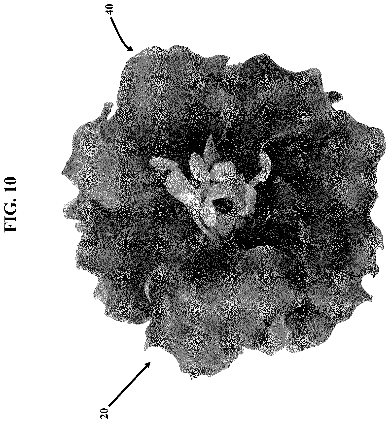 Patent US12311581 Figure 10 – Artificial botanicals and methods of making same