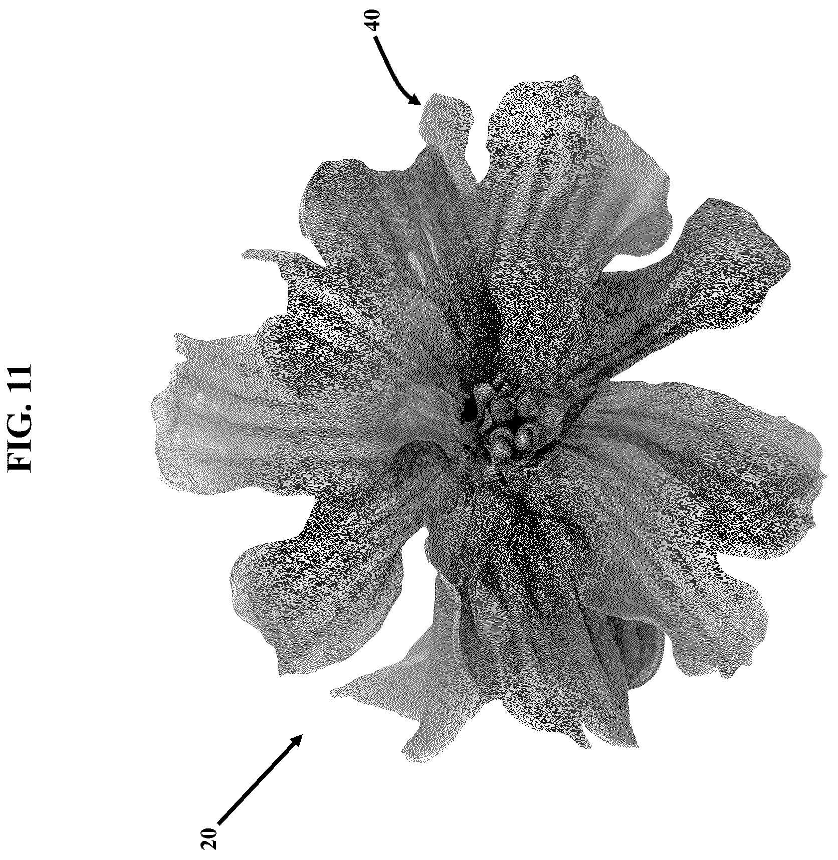 Patent US12311581 Figure 11 – Artificial botanicals and methods of making same