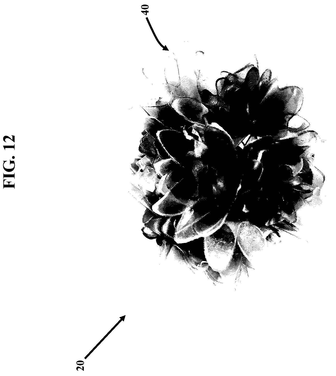 Patent US12311581 Figure 12 – Artificial botanicals and methods of making same