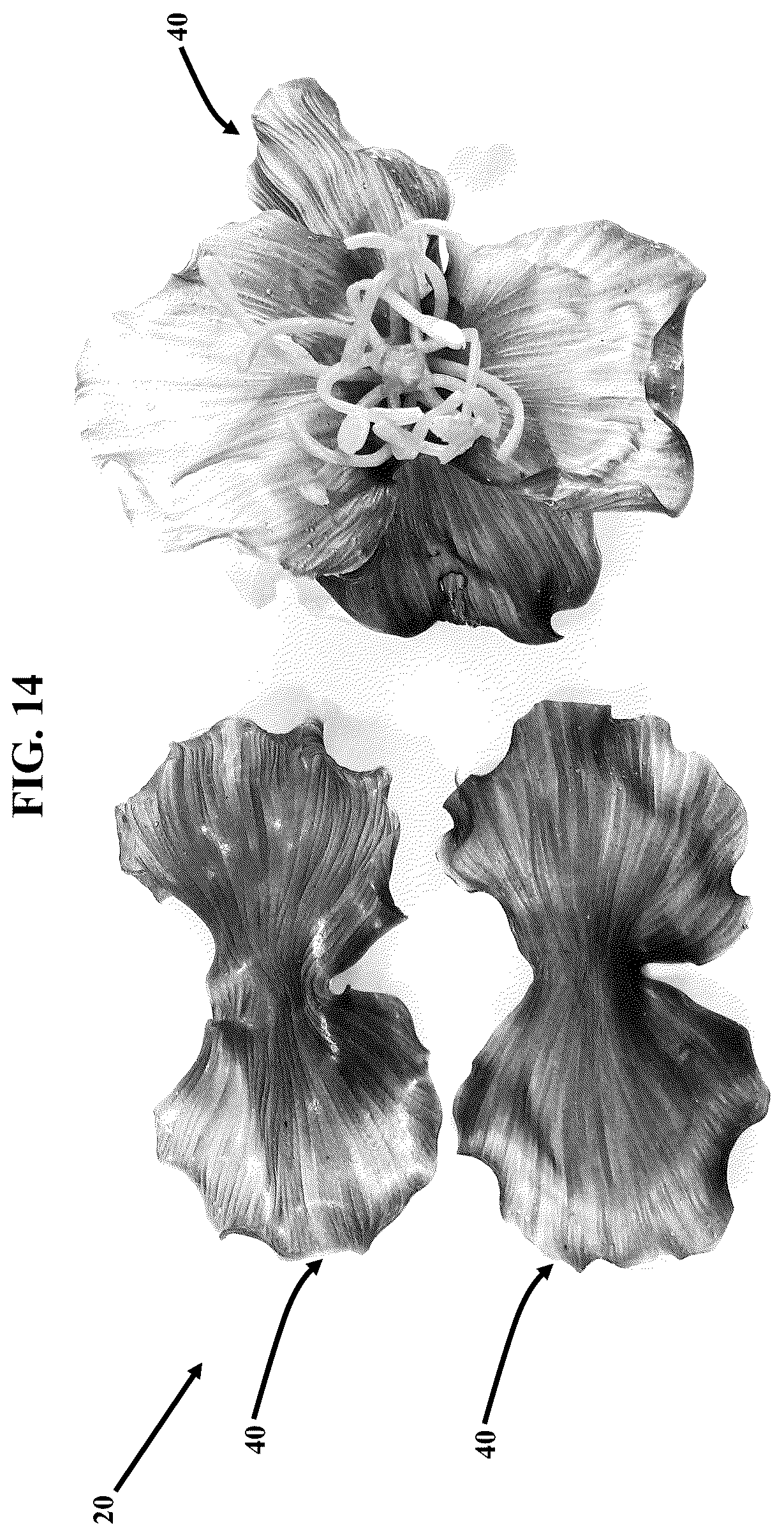 Patent US12311581 Figure 14 – Artificial botanicals and methods of making same
