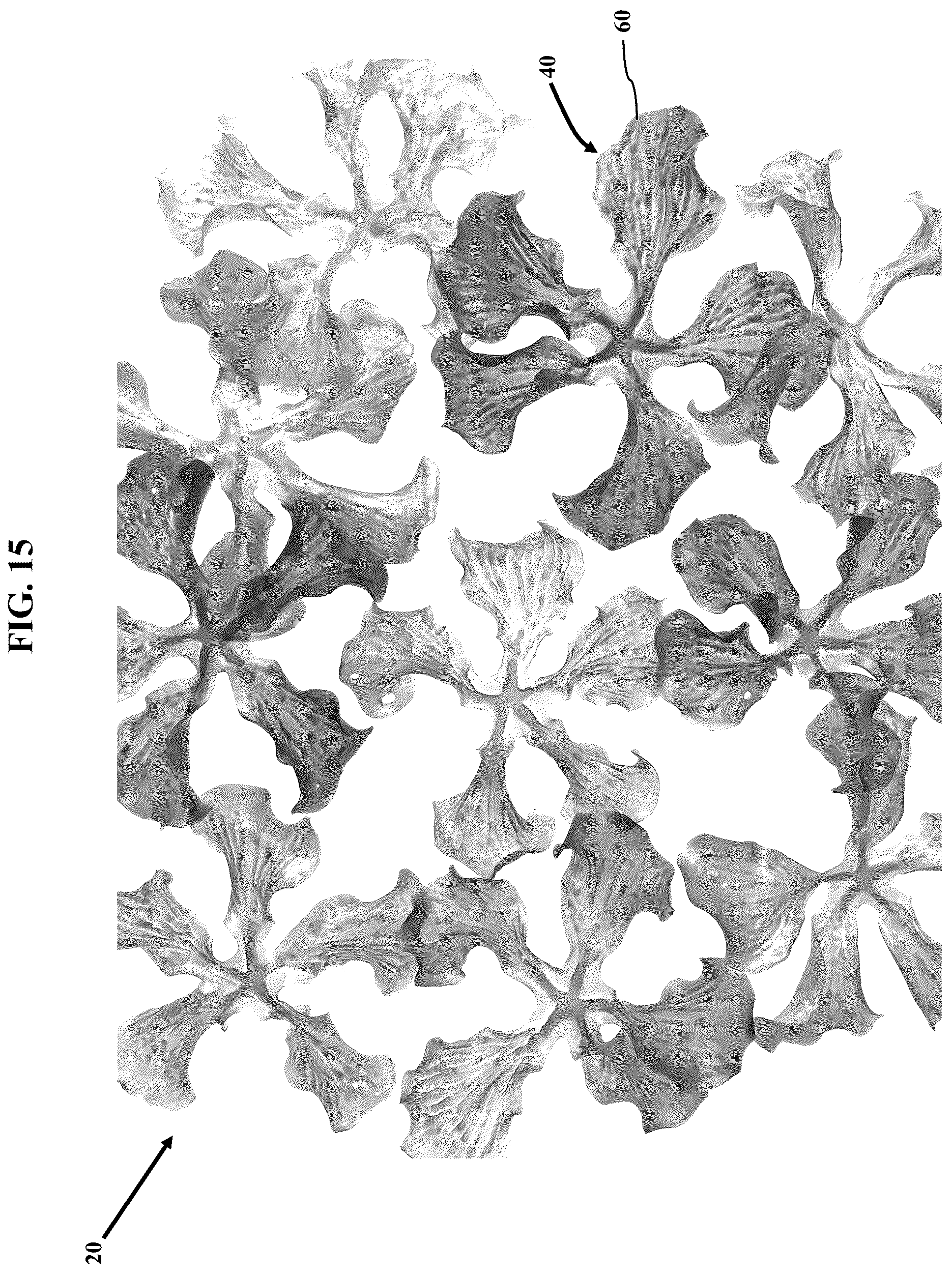 Patent US12311581 Figure 15 – Artificial botanicals and methods of making same