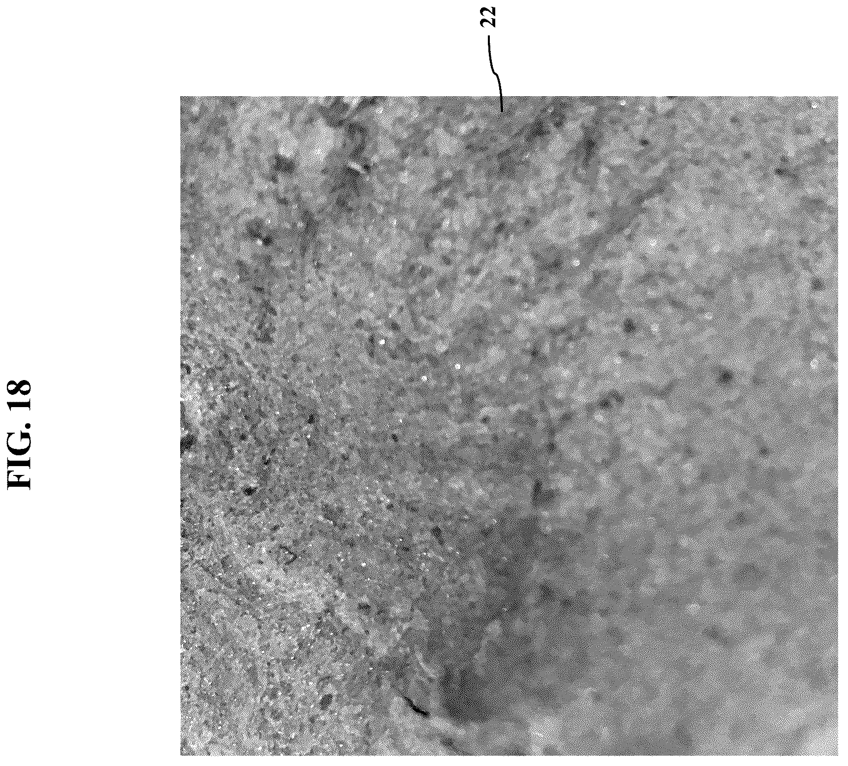 Patent US12311581 Figure 18 – Artificial botanicals and methods of making same