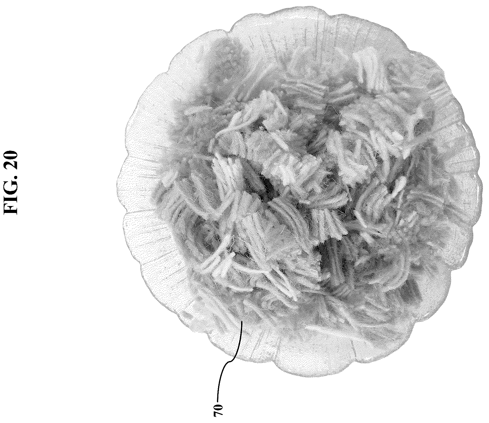 Patent US12311581 Figure 20 – Artificial botanicals and methods of making same