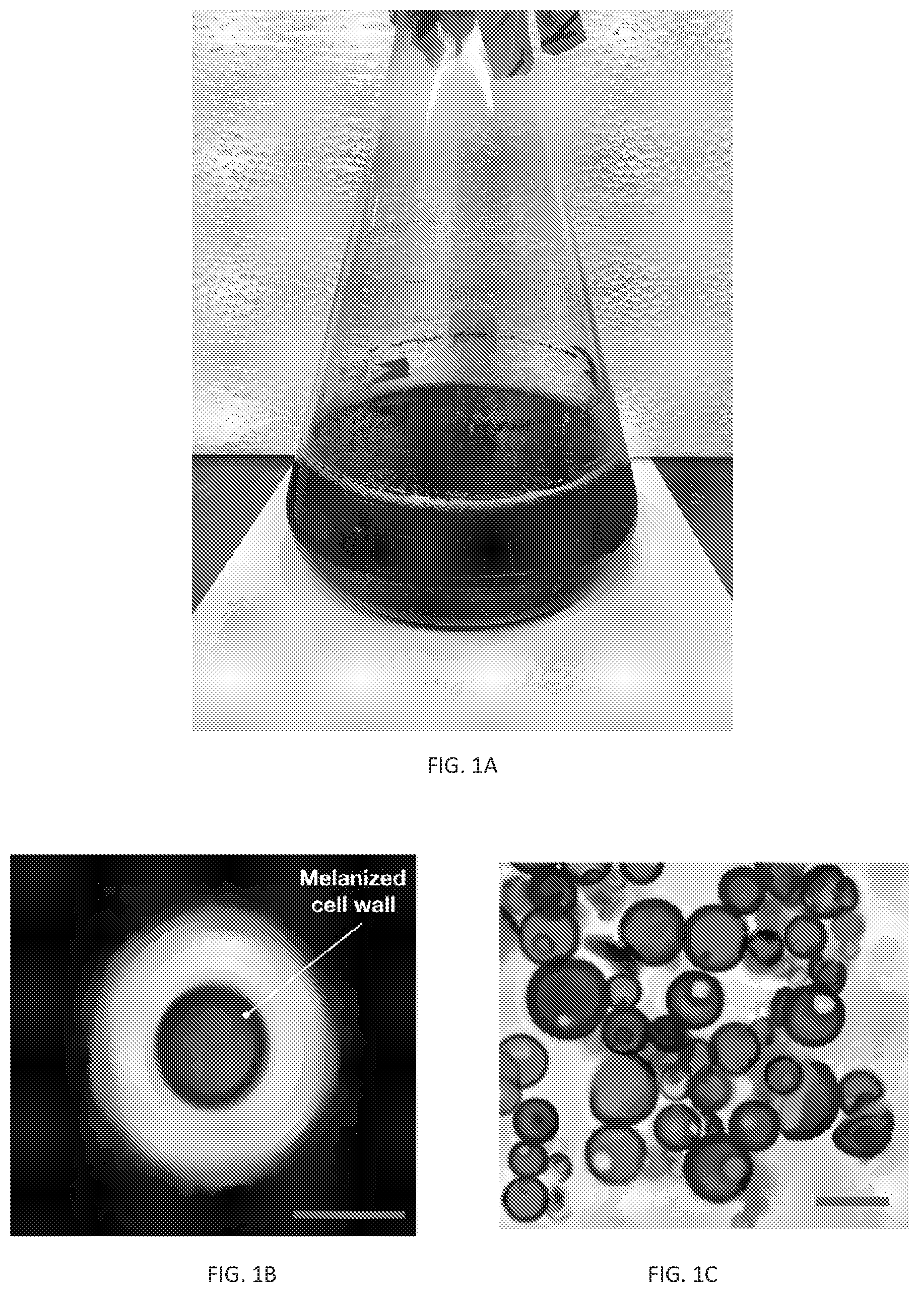 Patent US12311593 Figure 1 – Melanin based bio-composites for 3D printing