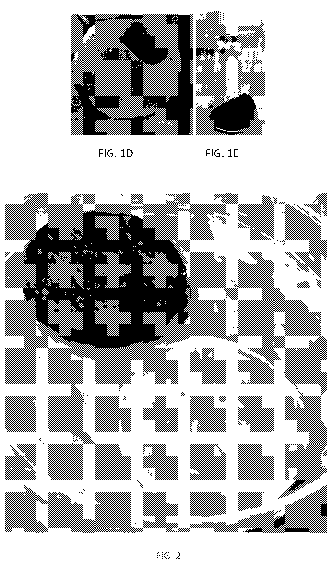 Patent US12311593 Figure 2 – Melanin based bio-composites for 3D printing