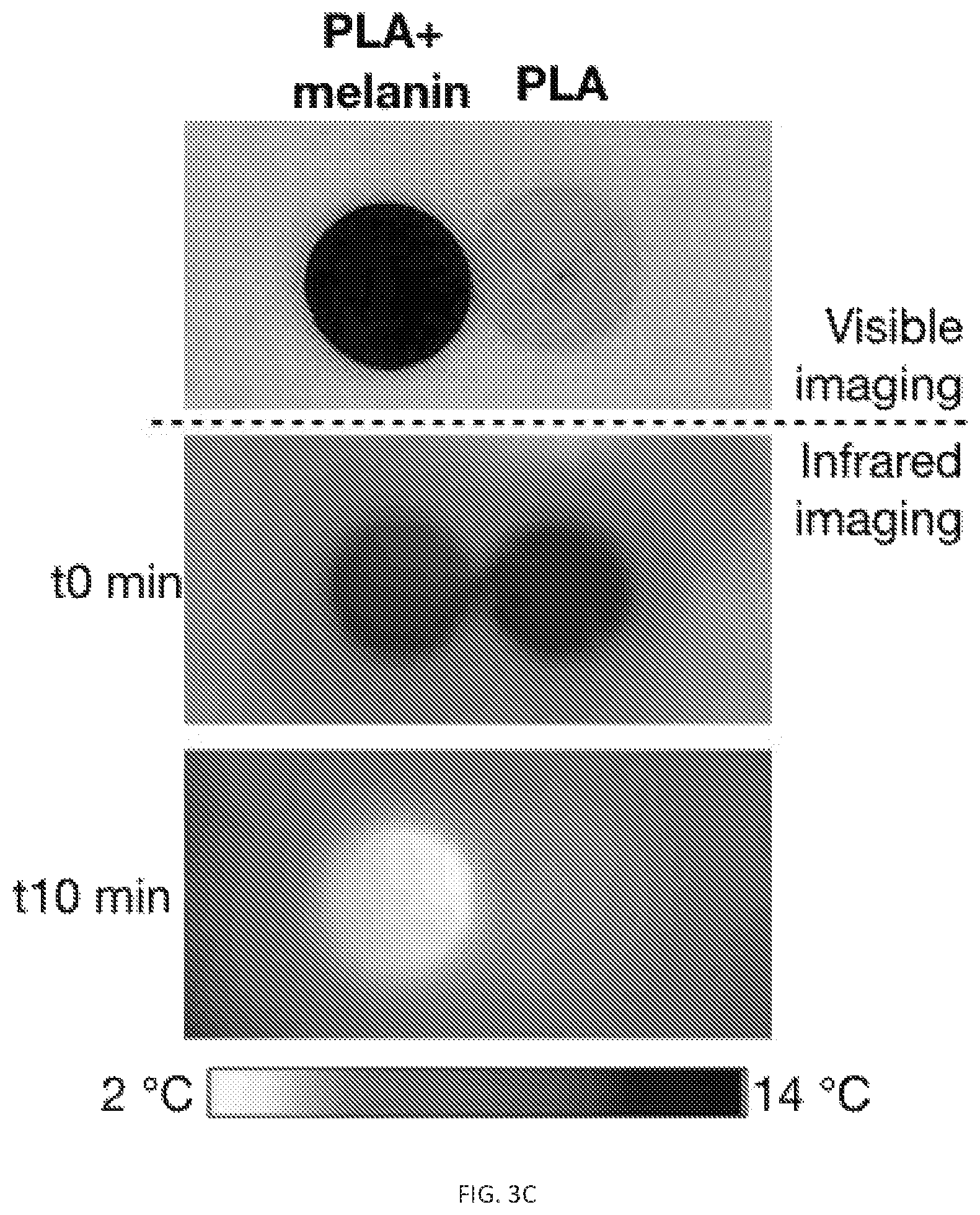 Patent US12311593 Figure 4 – Melanin based bio-composites for 3D printing