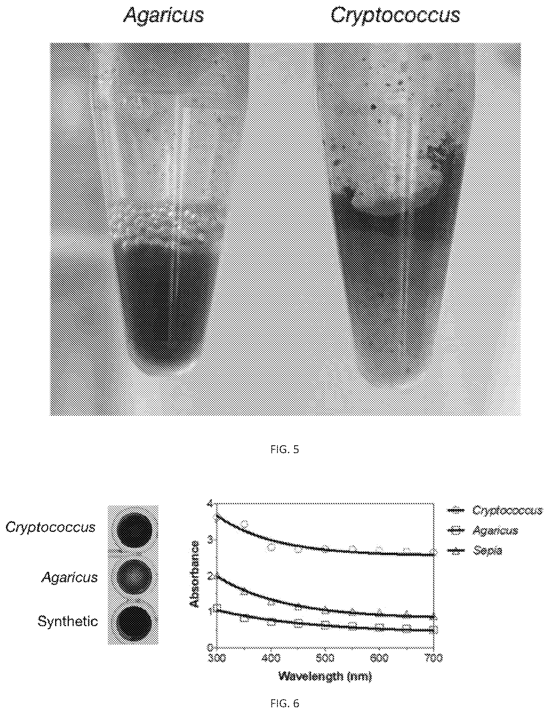 Patent US12311593 Figure 8 – Melanin based bio-composites for 3D printing