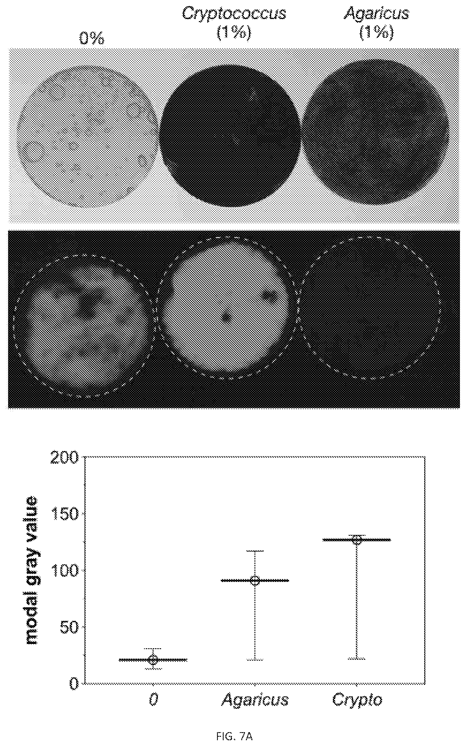 Patent US12311593 Figure 9 – Melanin based bio-composites for 3D printing