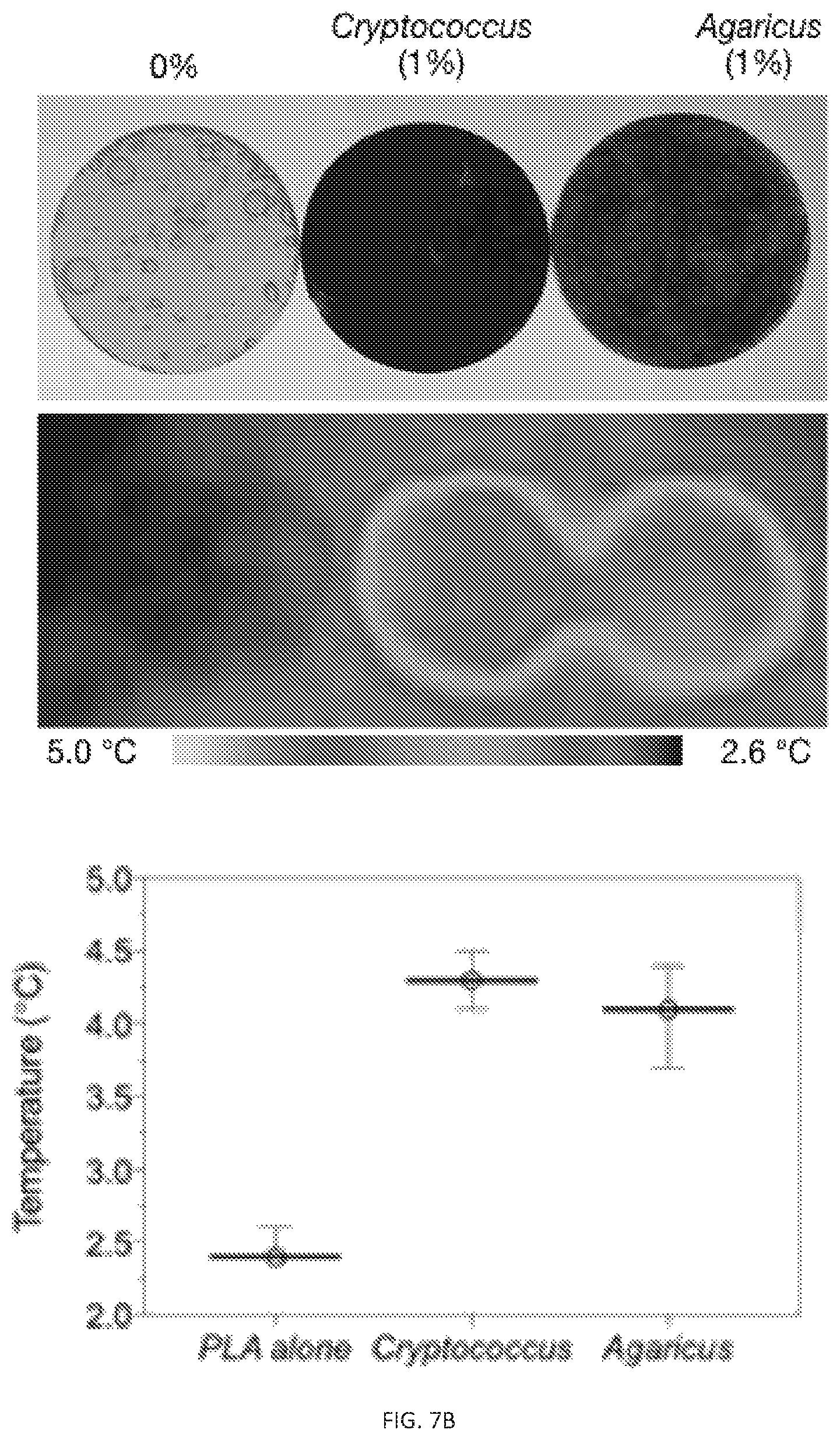 Patent US12311593 Figure 10 – Melanin based bio-composites for 3D printing