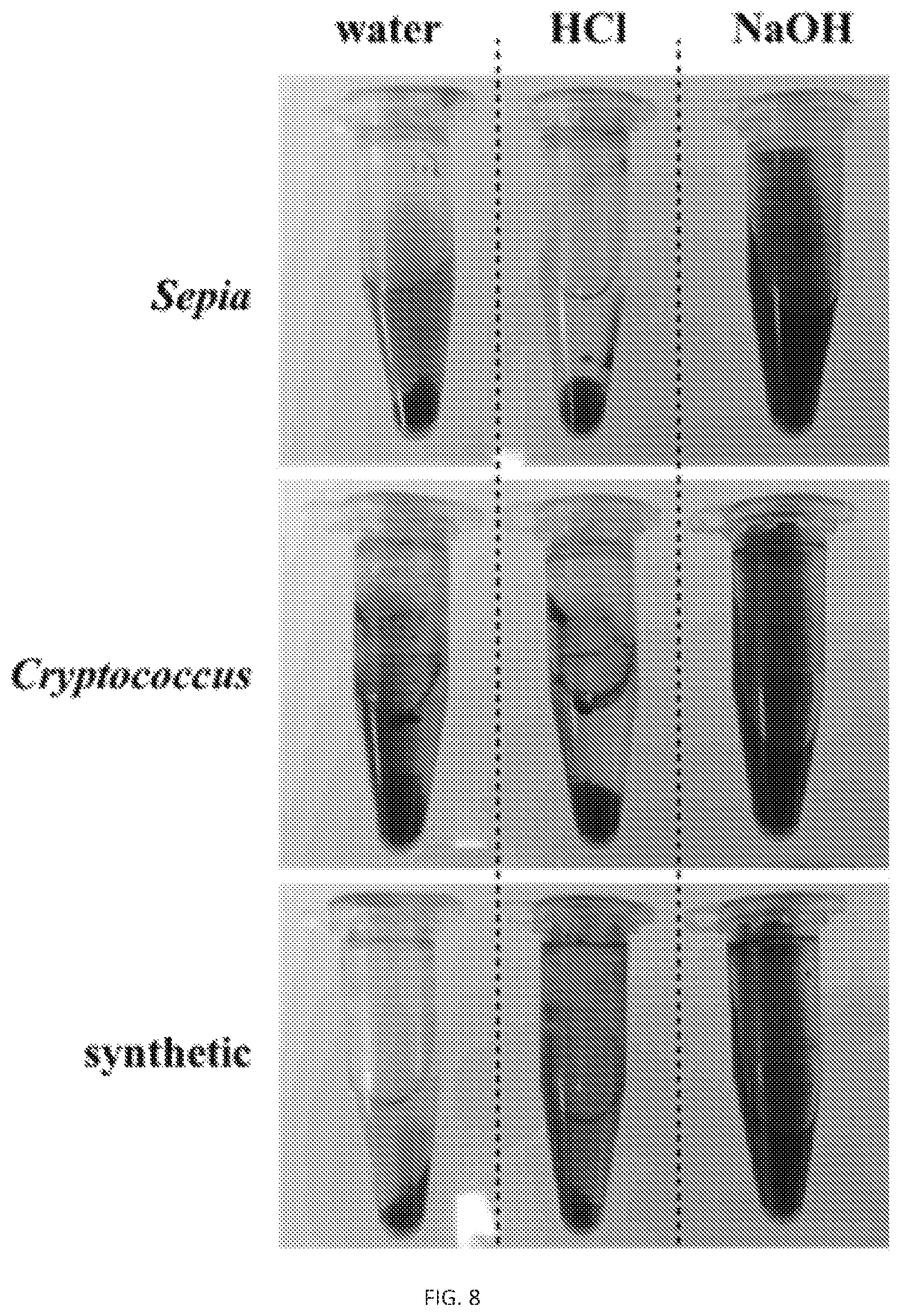 Patent US12311593 Figure 11 – Melanin based bio-composites for 3D printing