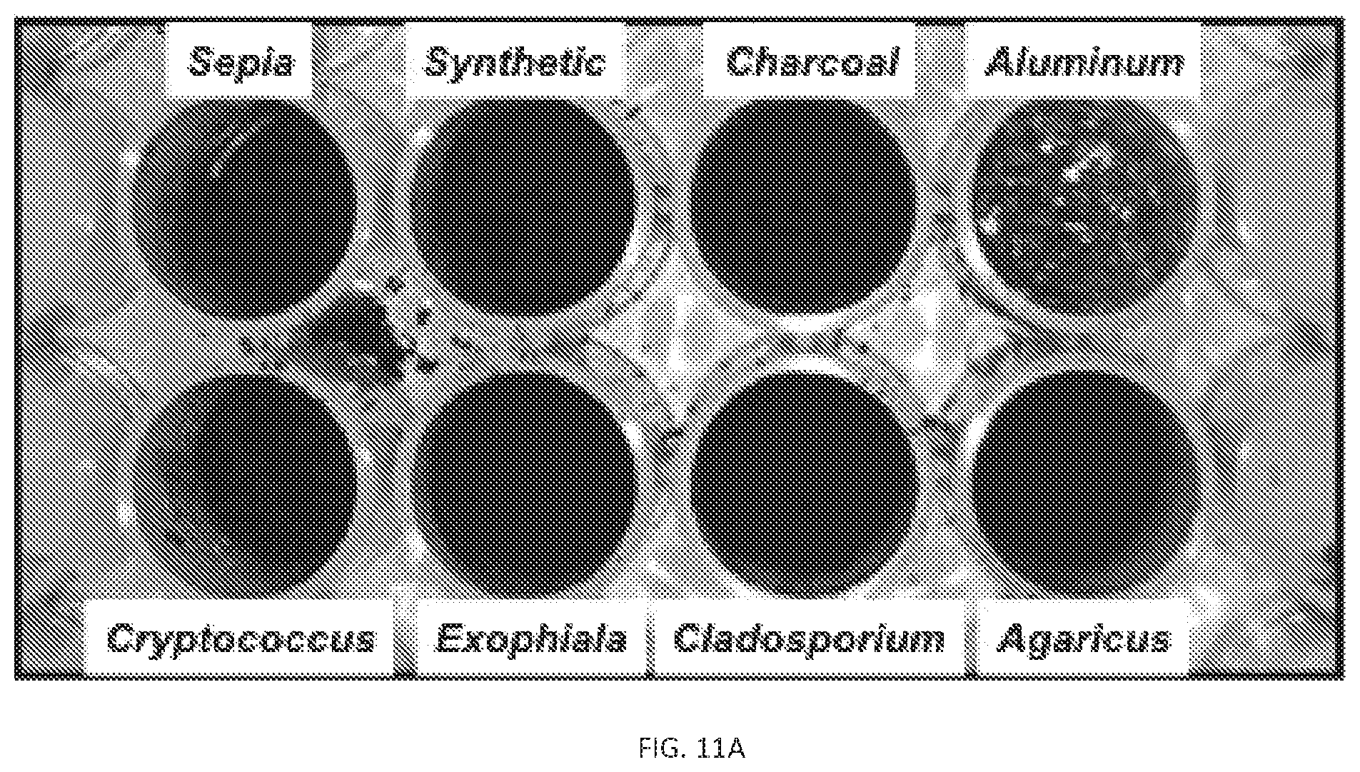 Patent US12311593 Figure 14 – Melanin based bio-composites for 3D printing