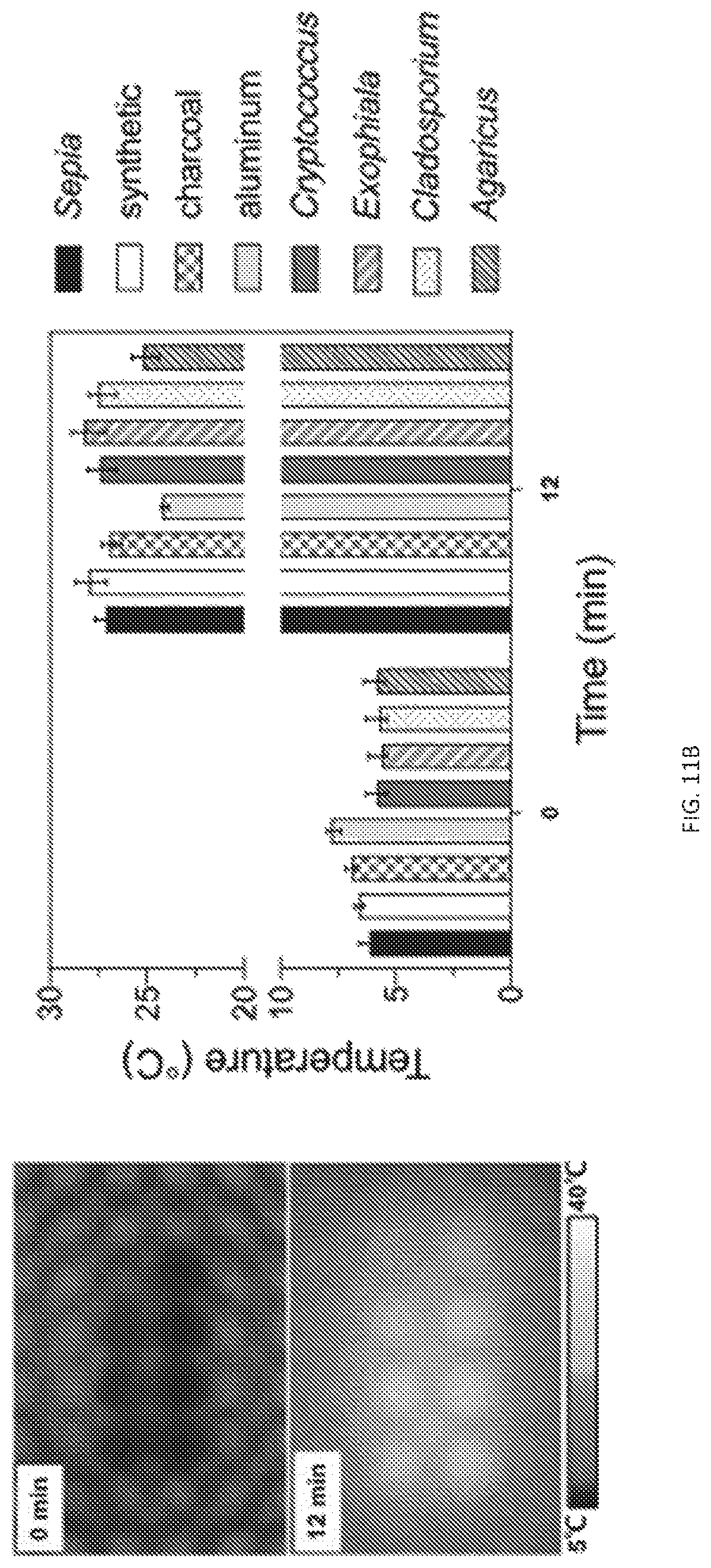 Patent US12311593 Figure 15 – Melanin based bio-composites for 3D printing