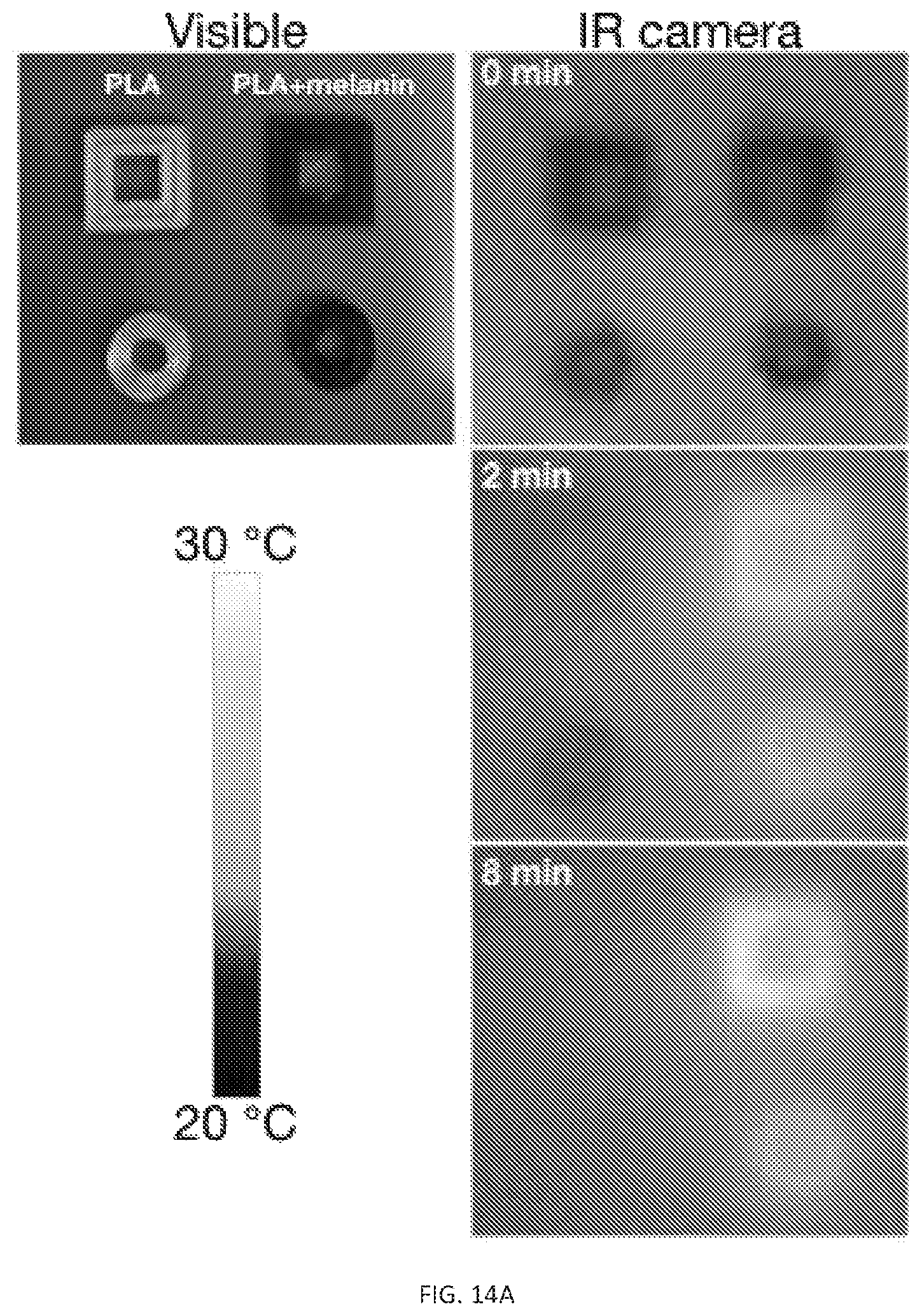 Patent US12311593 Figure 18 – Melanin based bio-composites for 3D printing