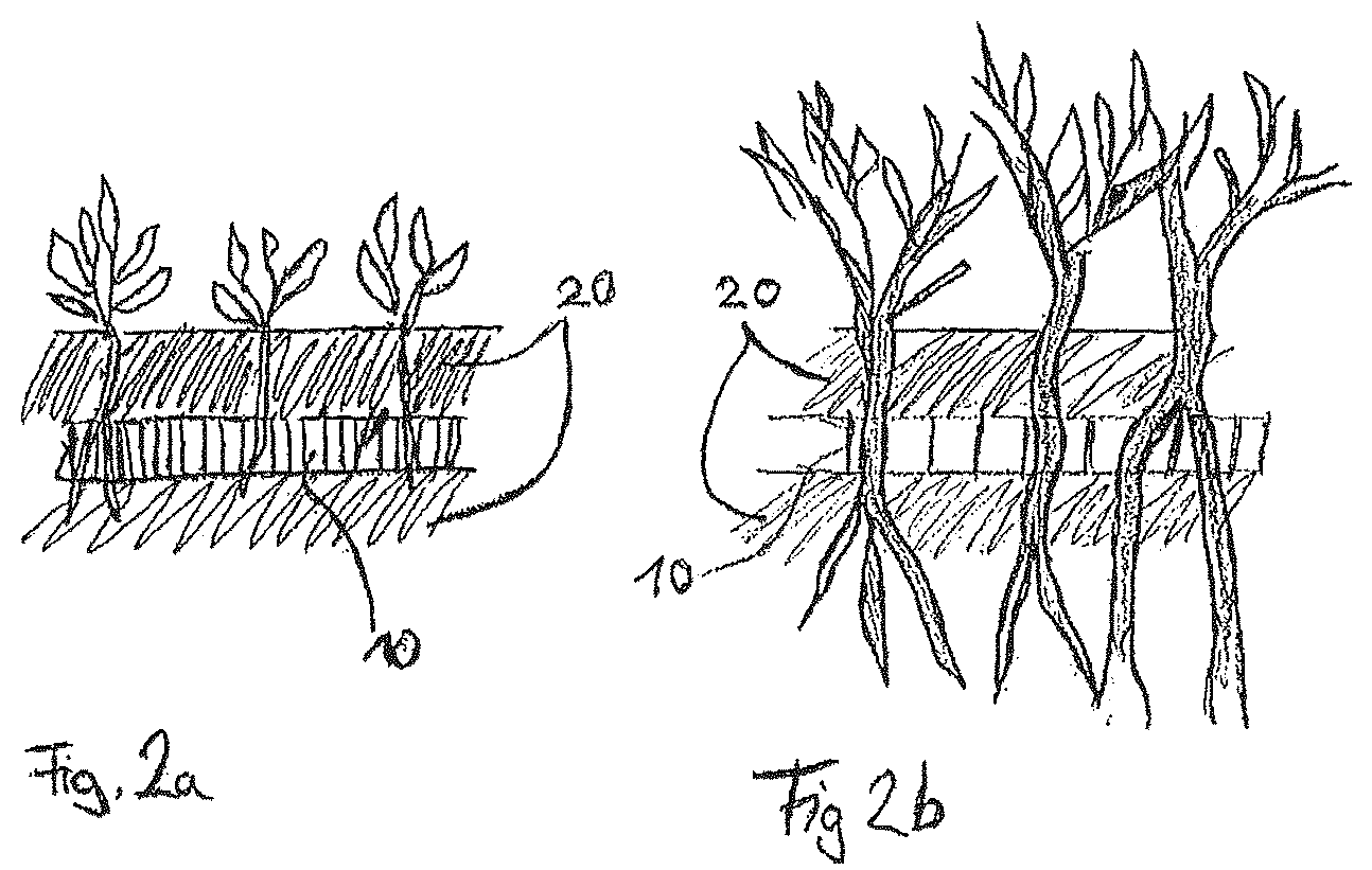 Patent US12311649 Figure 2 – Geomaterial web with biological degradation properties