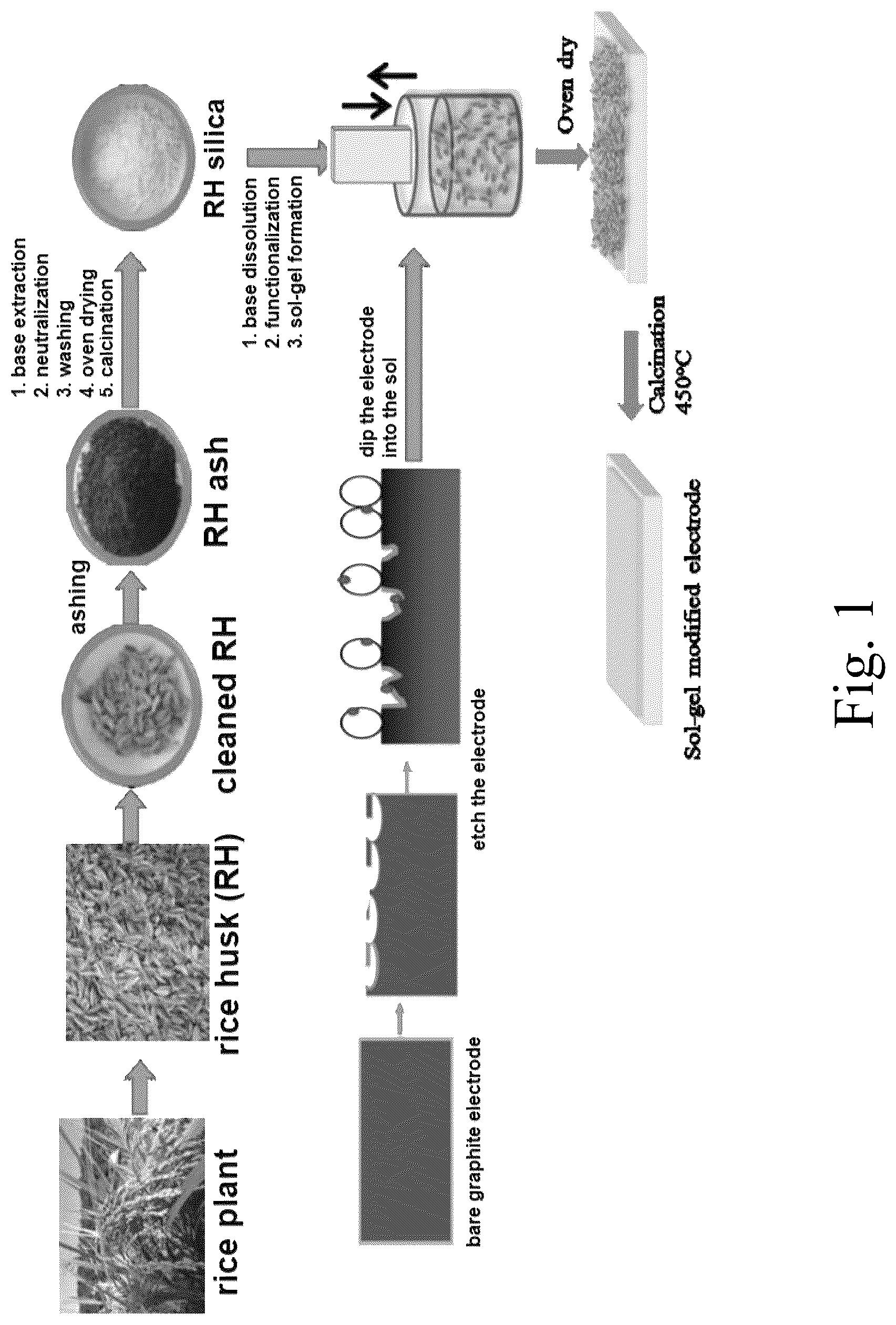 Patent US12312259 Figure 1 – Coated sulfonated graphite slab electrode