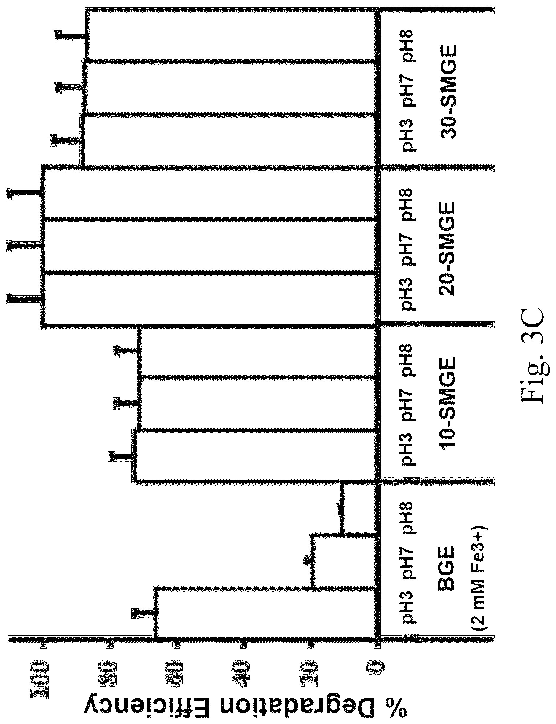 Patent US12312259 Figure 5 – Coated sulfonated graphite slab electrode