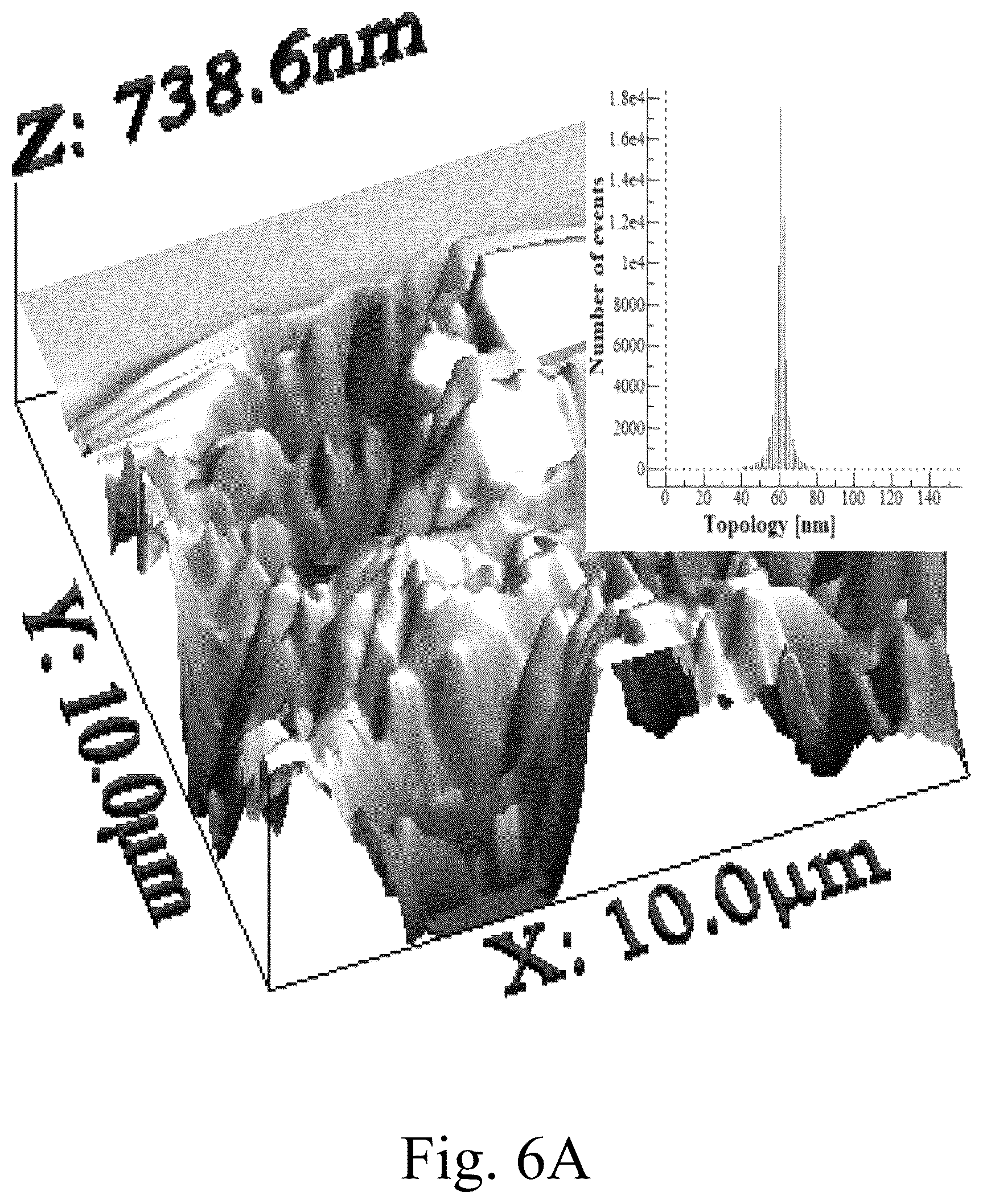 Patent US12312259 Figure 9 – Coated sulfonated graphite slab electrode