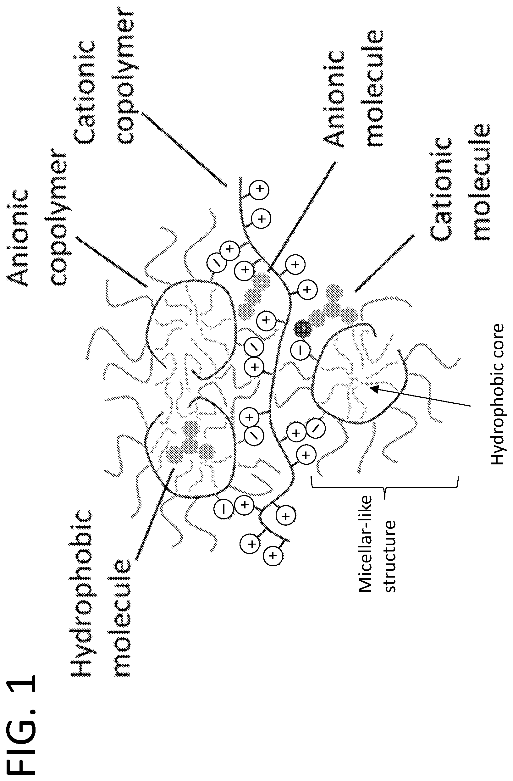 Patent US12312262 — Assembly of random copolymer polyelectrolyte complexes for removal of contaminants from water — Figure 1