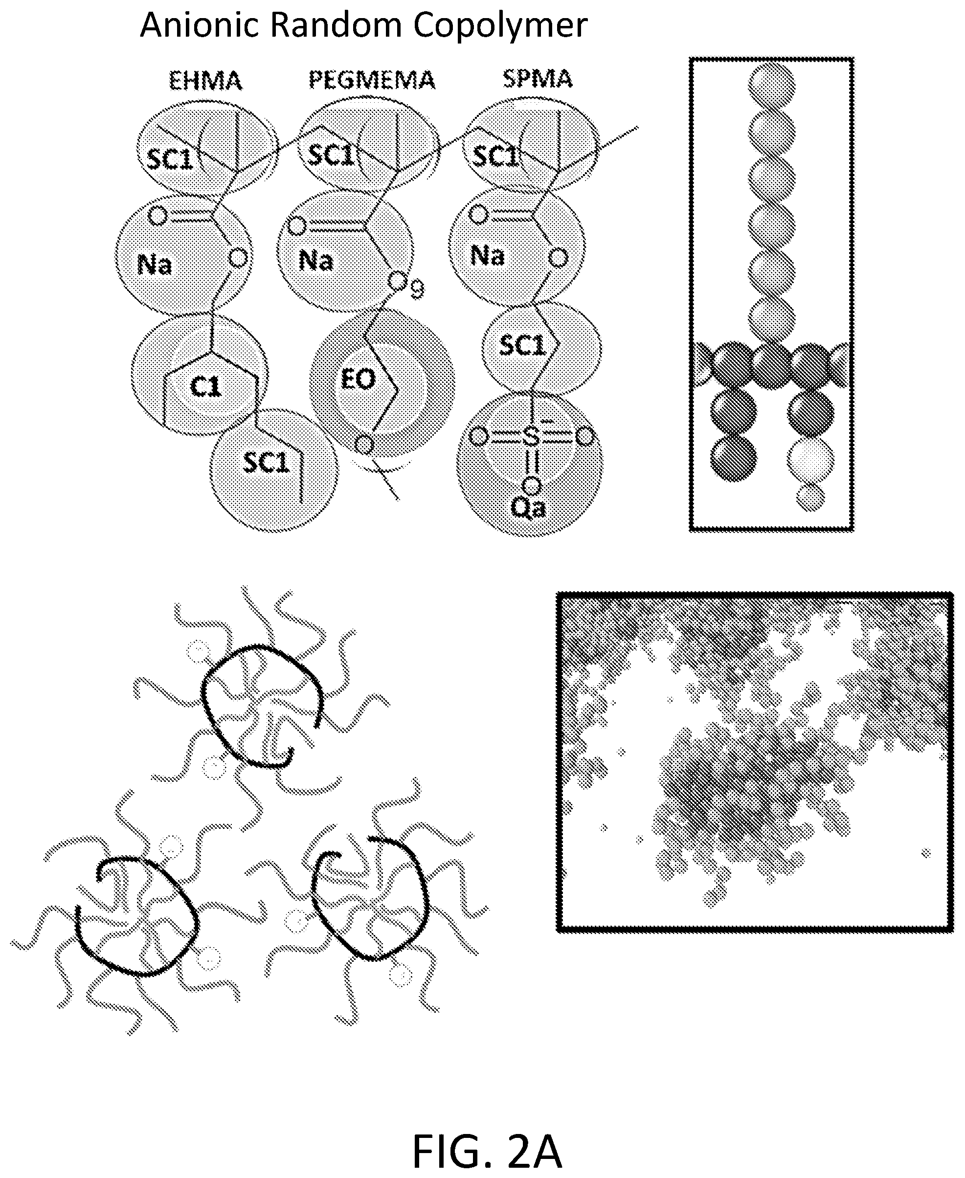 Patent US12312262 Figure 2 – Assembly of random copolymer polyelectrolyte complexes for removal of contaminants from water