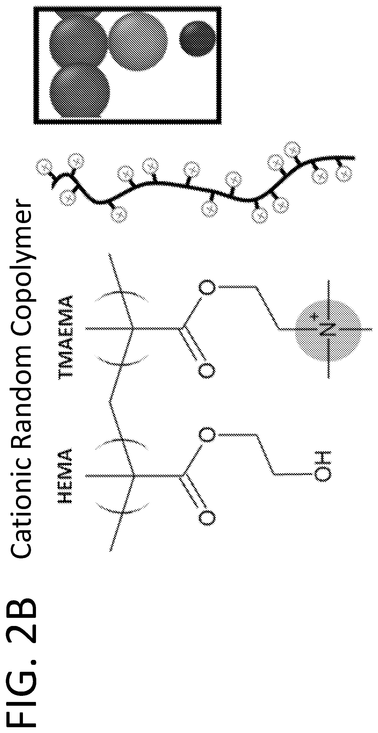 Patent US12312262 Figure 3 – Assembly of random copolymer polyelectrolyte complexes for removal of contaminants from water