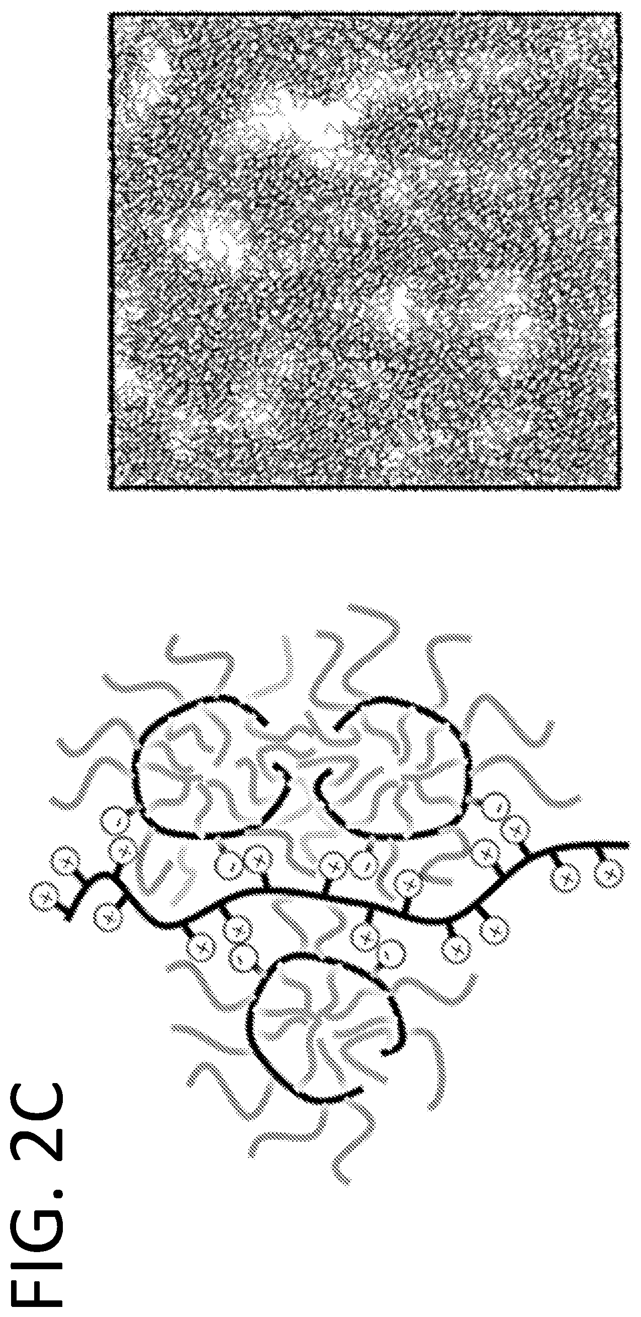 Patent US12312262 Figure 4 – Assembly of random copolymer polyelectrolyte complexes for removal of contaminants from water