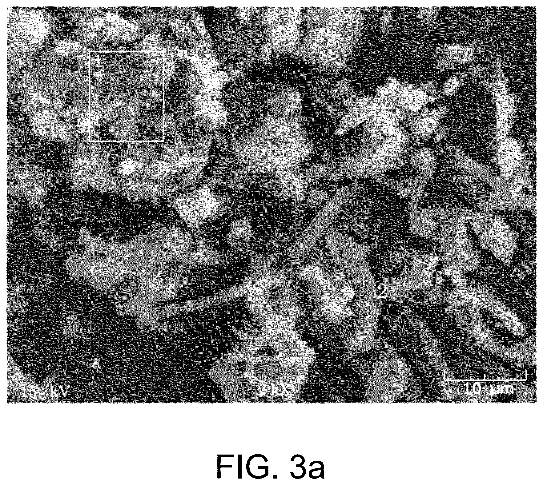 Patent US12312268 Figure 3 – Manganese-oxidizing fungus and uses thereof