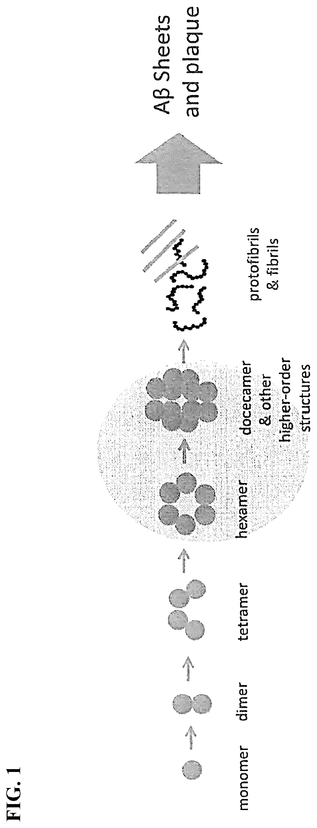 Patent US12312296 — Substituted piperazines as disrupters of AB42 oligomer formation — Figure 1