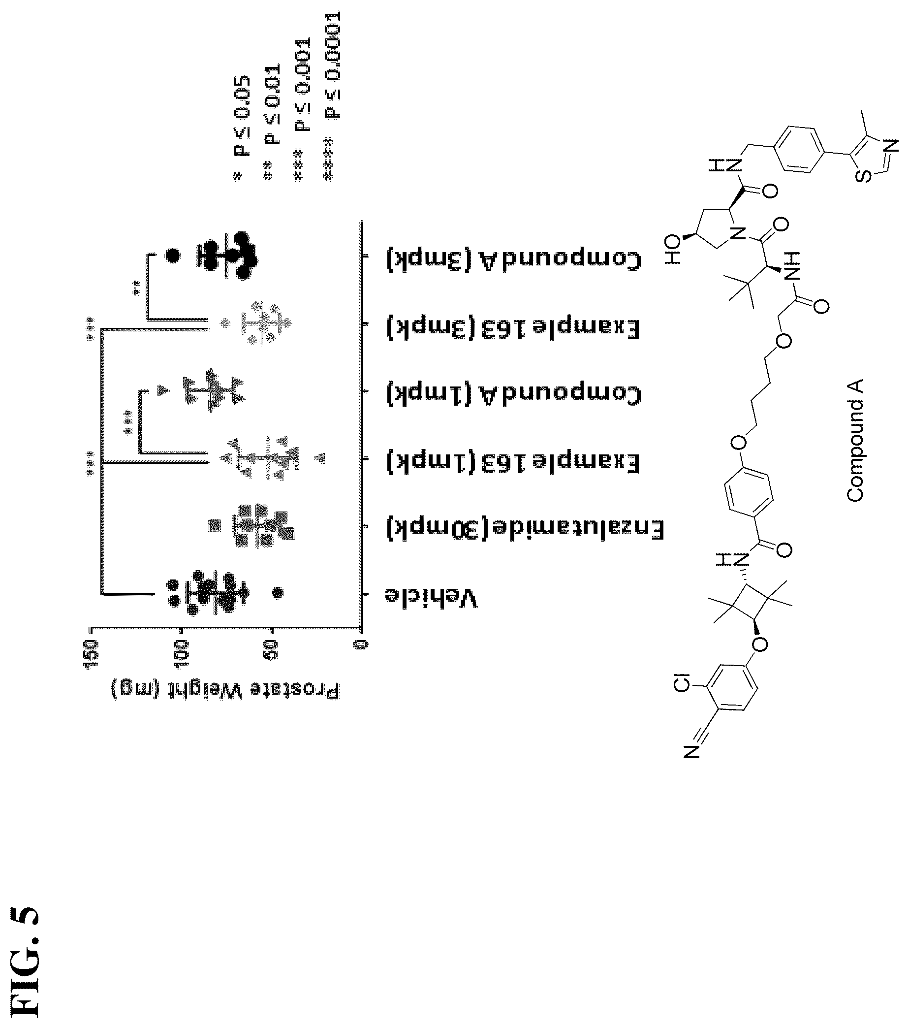 Patent US12312316 Figure 5 – Compounds and methods for the targeted degradation of androgen receptor