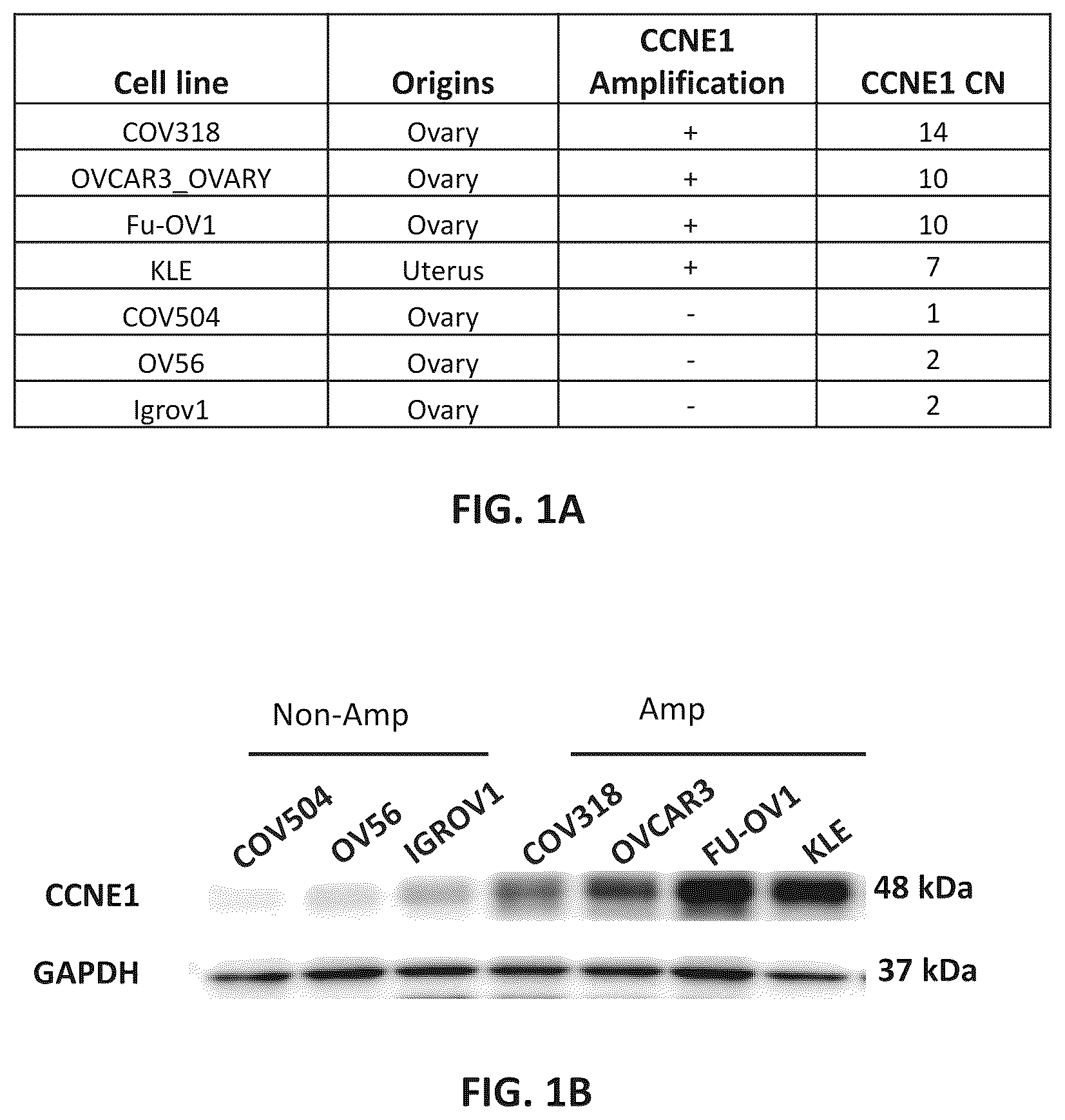 Patent US12312331 Figure 1 – Imidazolyl pyrimidinylamine compounds as CDK2 inhibitors