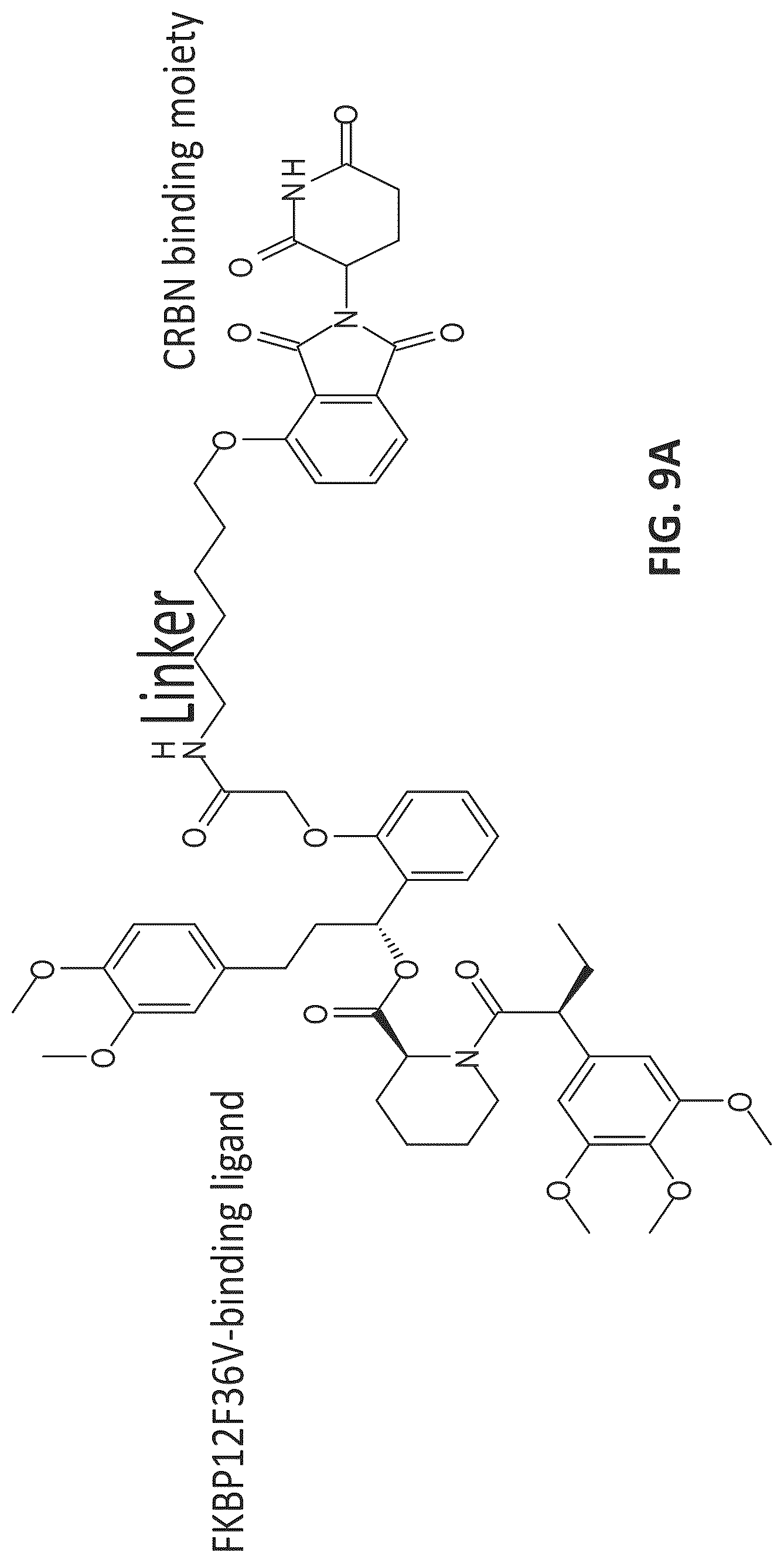 Patent US12312331 Figure 14 – Imidazolyl pyrimidinylamine compounds as CDK2 inhibitors