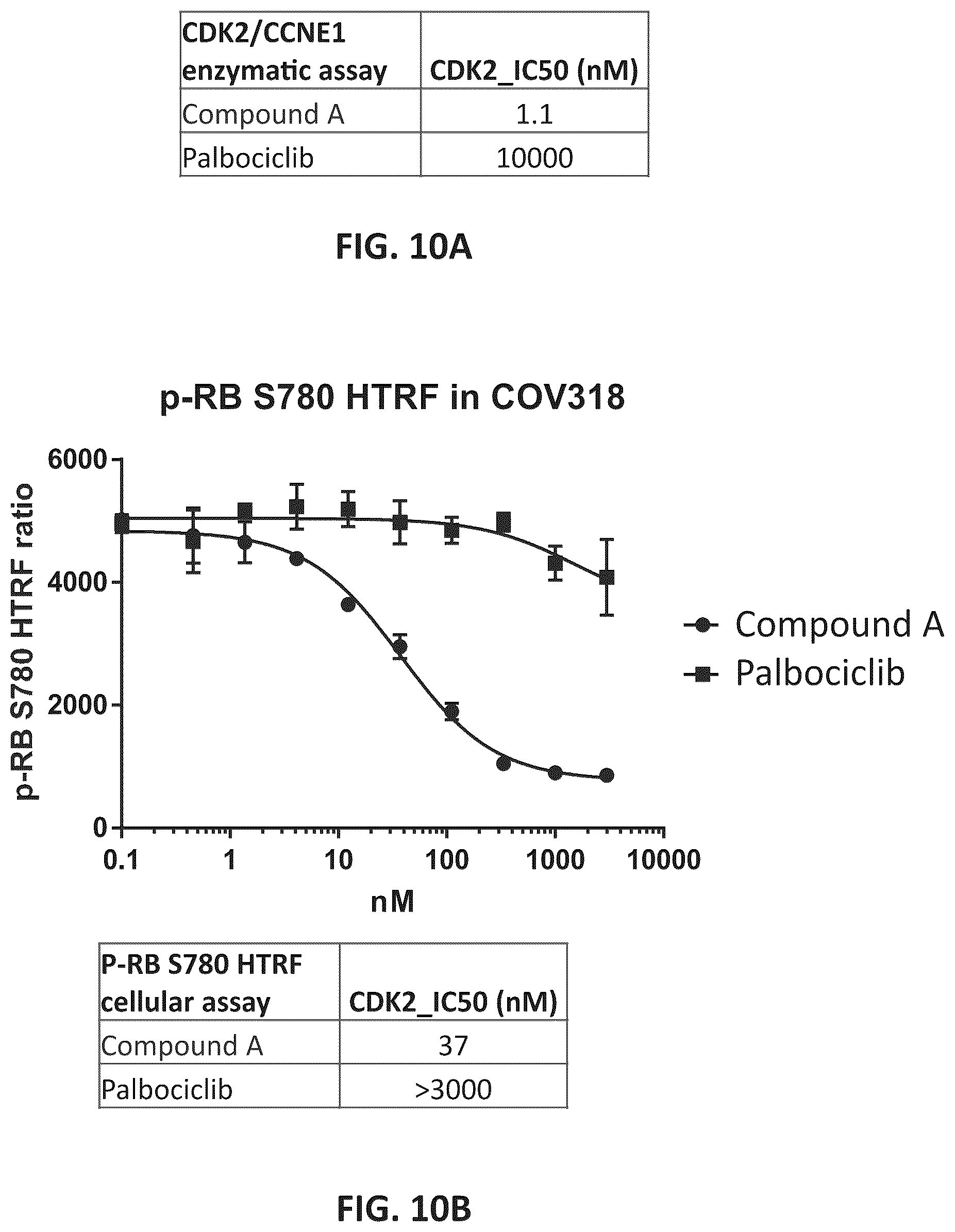 Patent US12312331 Figure 16 – Imidazolyl pyrimidinylamine compounds as CDK2 inhibitors