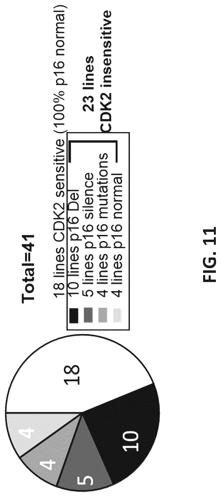 Patent US12312331 Figure 17 – Imidazolyl pyrimidinylamine compounds as CDK2 inhibitors