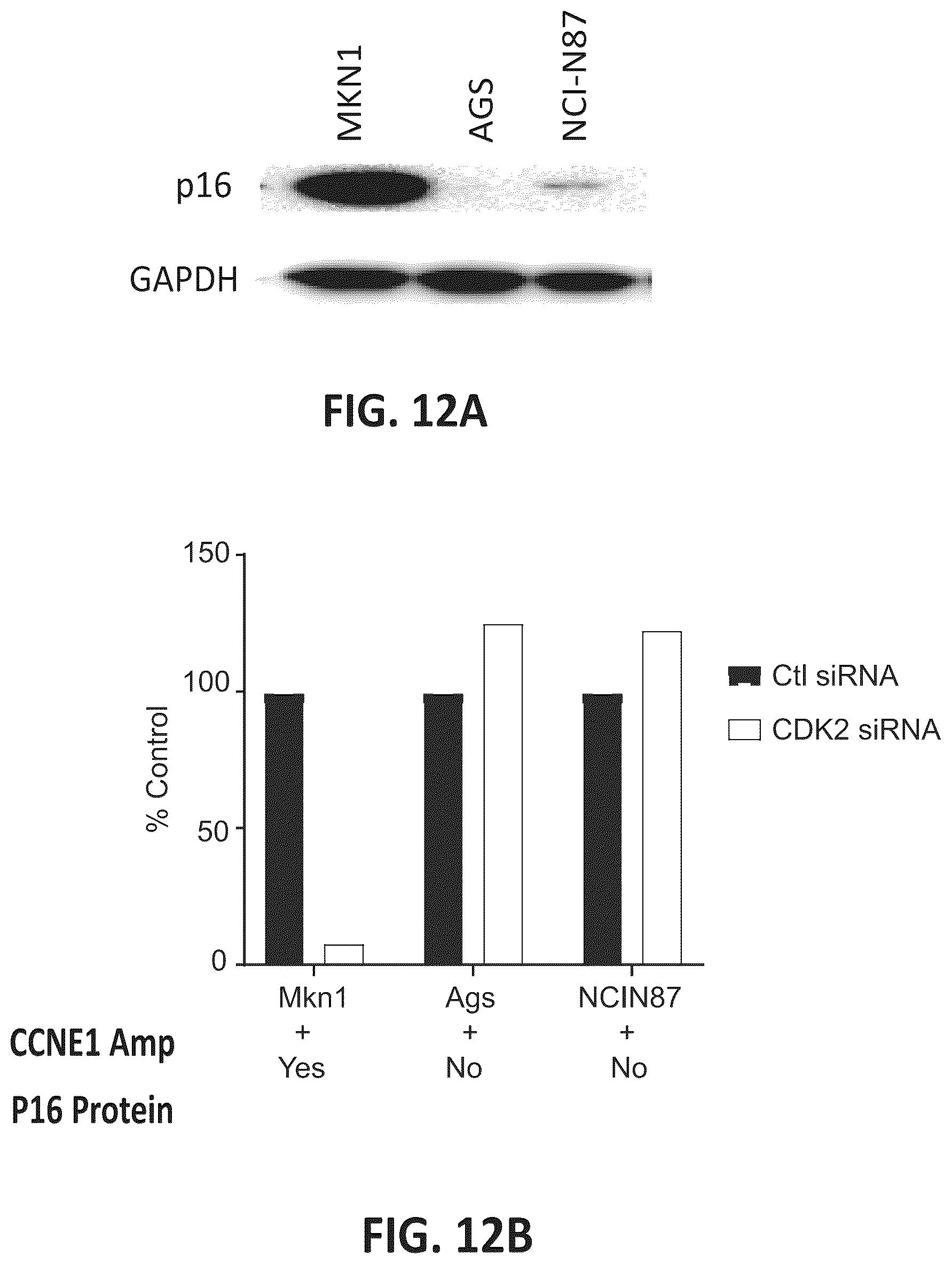 Patent US12312331 Figure 18 – Imidazolyl pyrimidinylamine compounds as CDK2 inhibitors