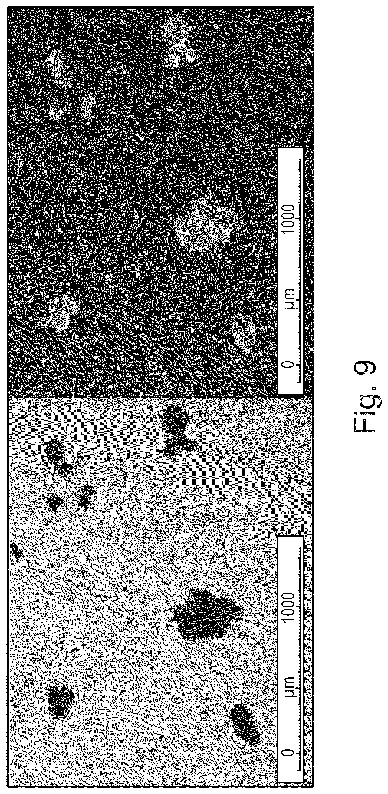 Patent US12312335 Figure 7 – Crystalline pharmaceutically acceptable salt and polymorphic form of the glutaminyl cyclase inhibitor Varoglutamstat