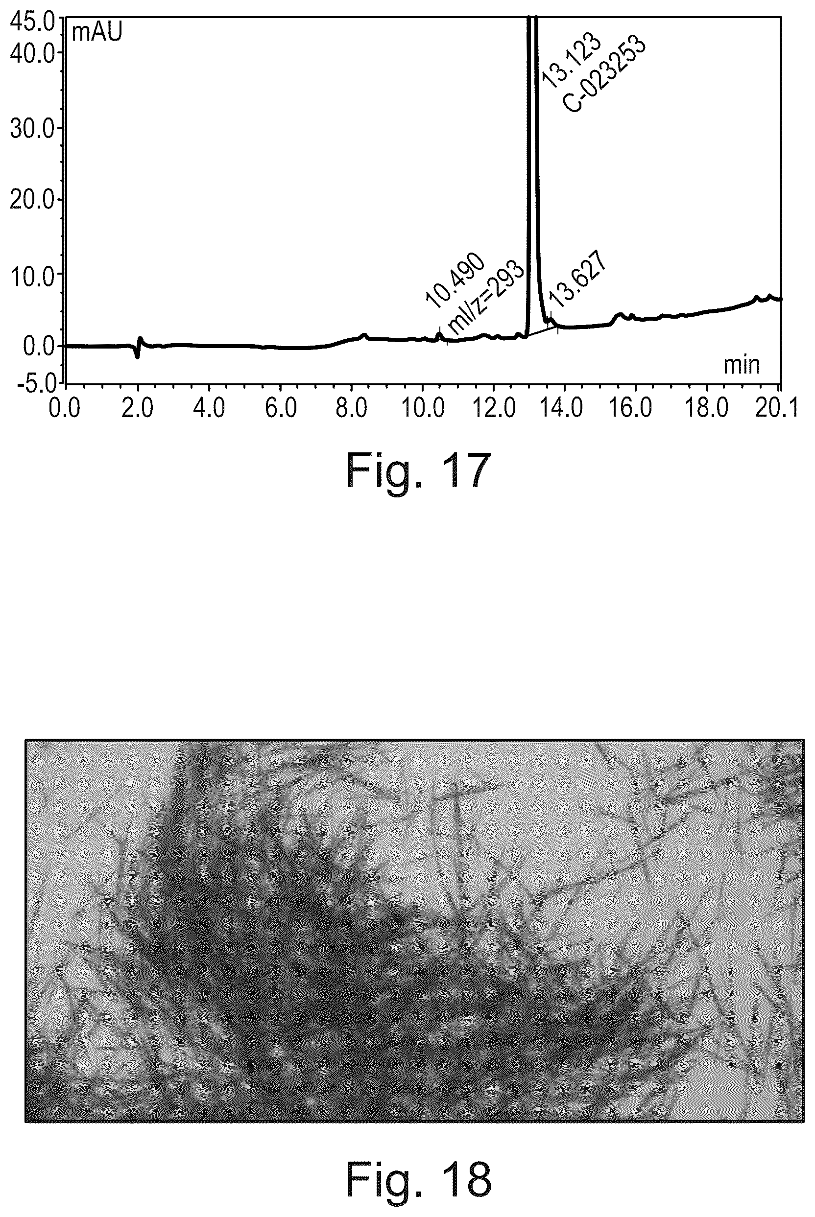 Patent US12312335 Figure 15 – Crystalline pharmaceutically acceptable salt and polymorphic form of the glutaminyl cyclase inhibitor Varoglutamstat