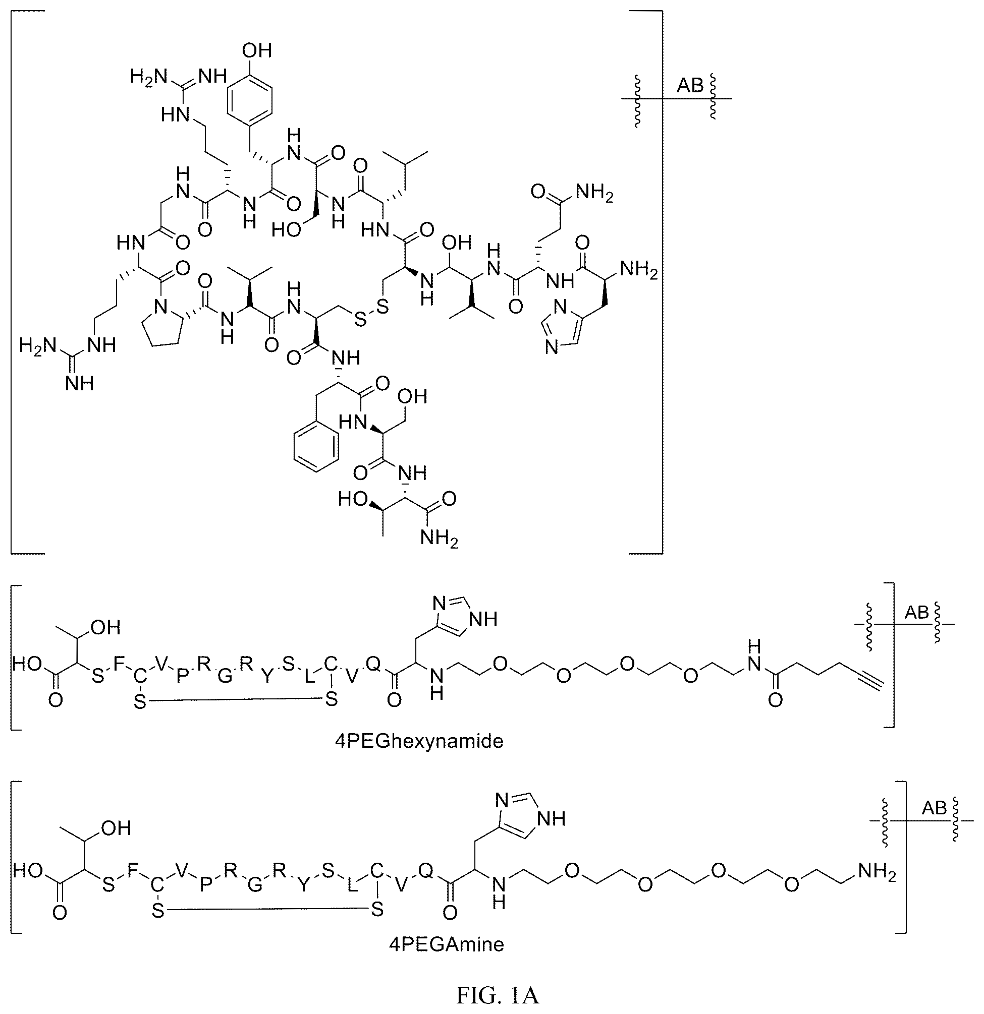 Patent US12312340 Figure 1 – Potent ASGPR-binding compounds for the degradation of immunoglobulins and other proteins