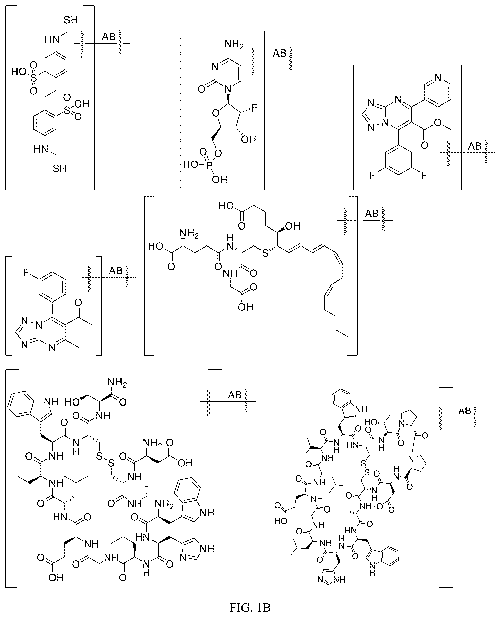 Patent US12312340 Figure 2 – Potent ASGPR-binding compounds for the degradation of immunoglobulins and other proteins