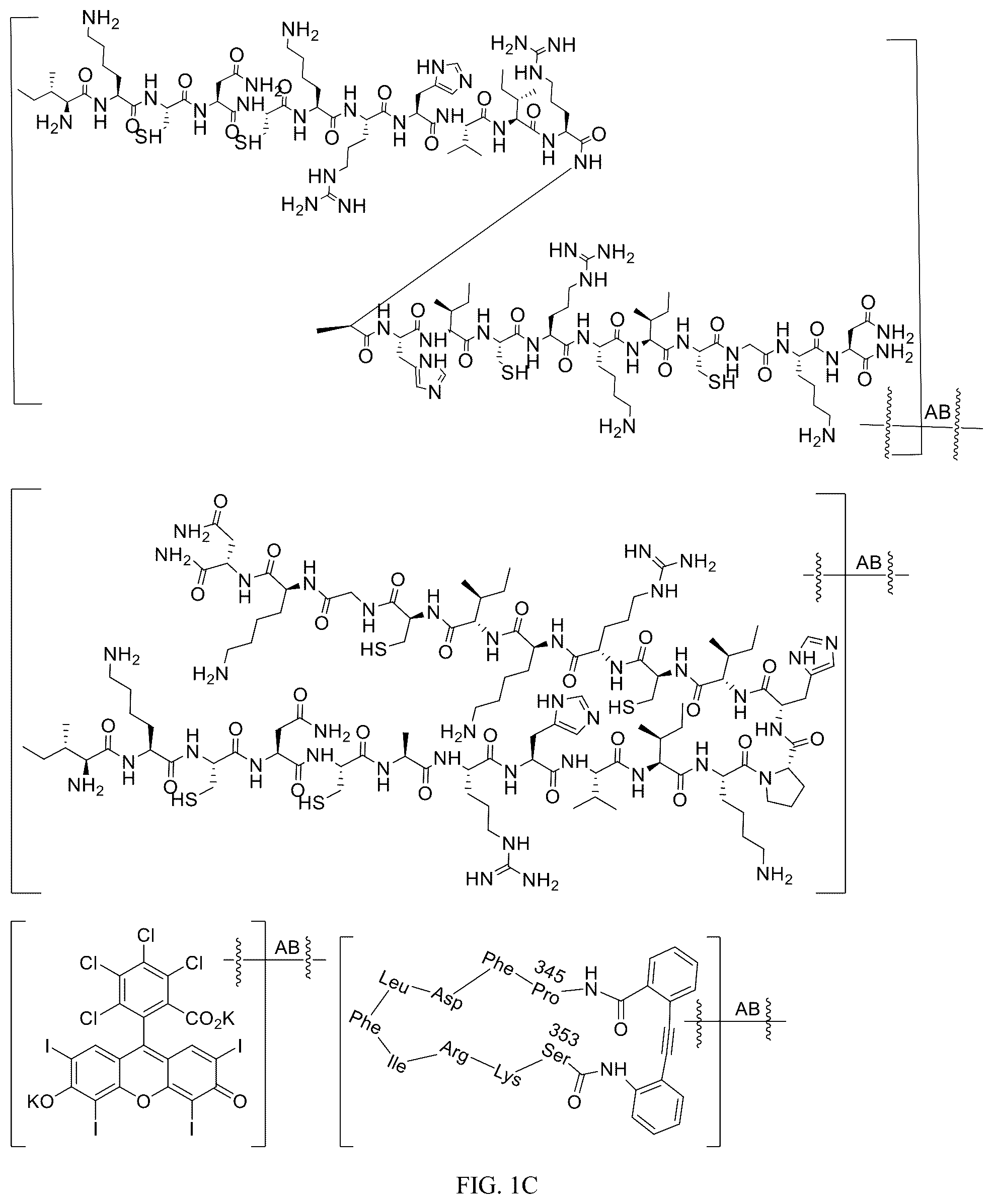 Patent US12312340 Figure 3 – Potent ASGPR-binding compounds for the degradation of immunoglobulins and other proteins