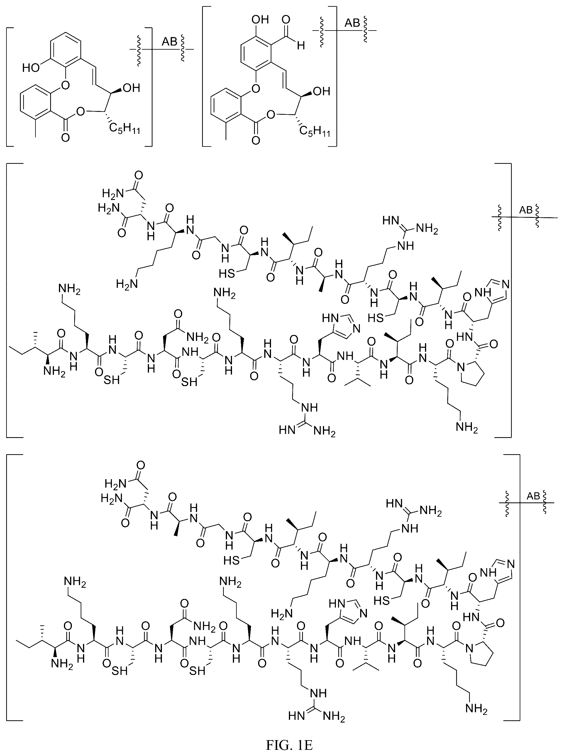 Patent US12312340 Figure 5 – Potent ASGPR-binding compounds for the degradation of immunoglobulins and other proteins