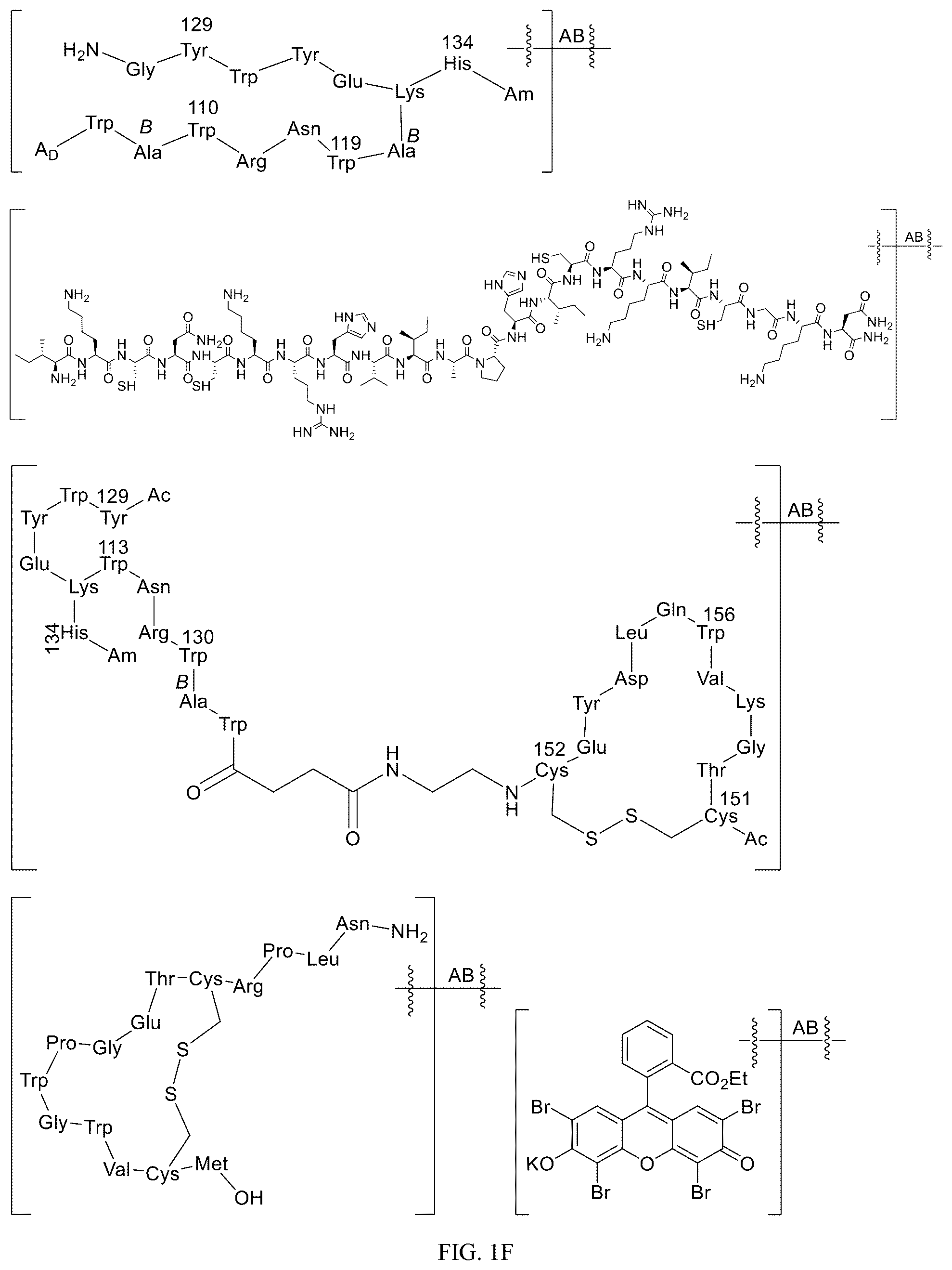Patent US12312340 Figure 6 – Potent ASGPR-binding compounds for the degradation of immunoglobulins and other proteins